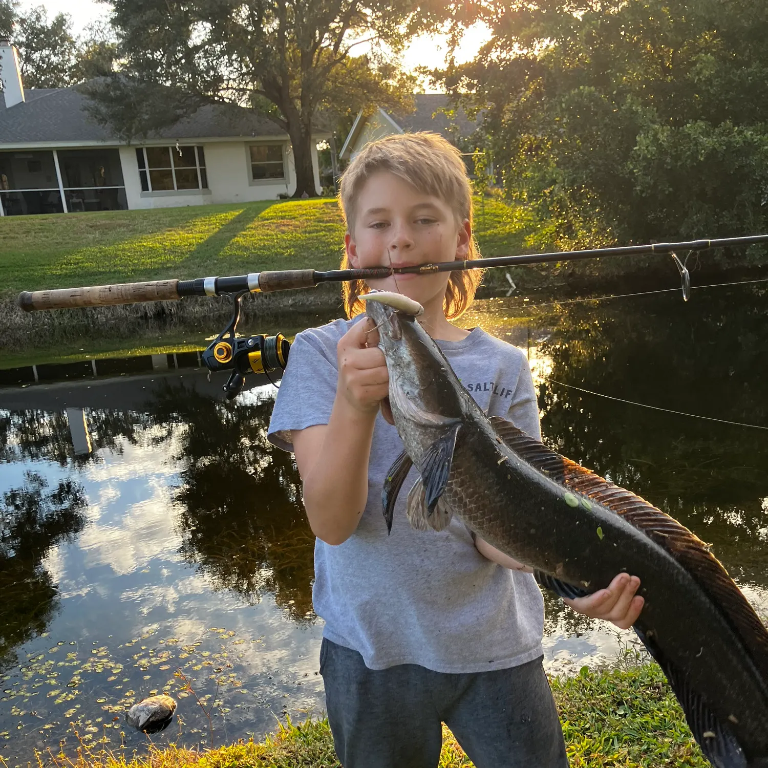 The most recent Bullseye snakehead catches on Fishbrain