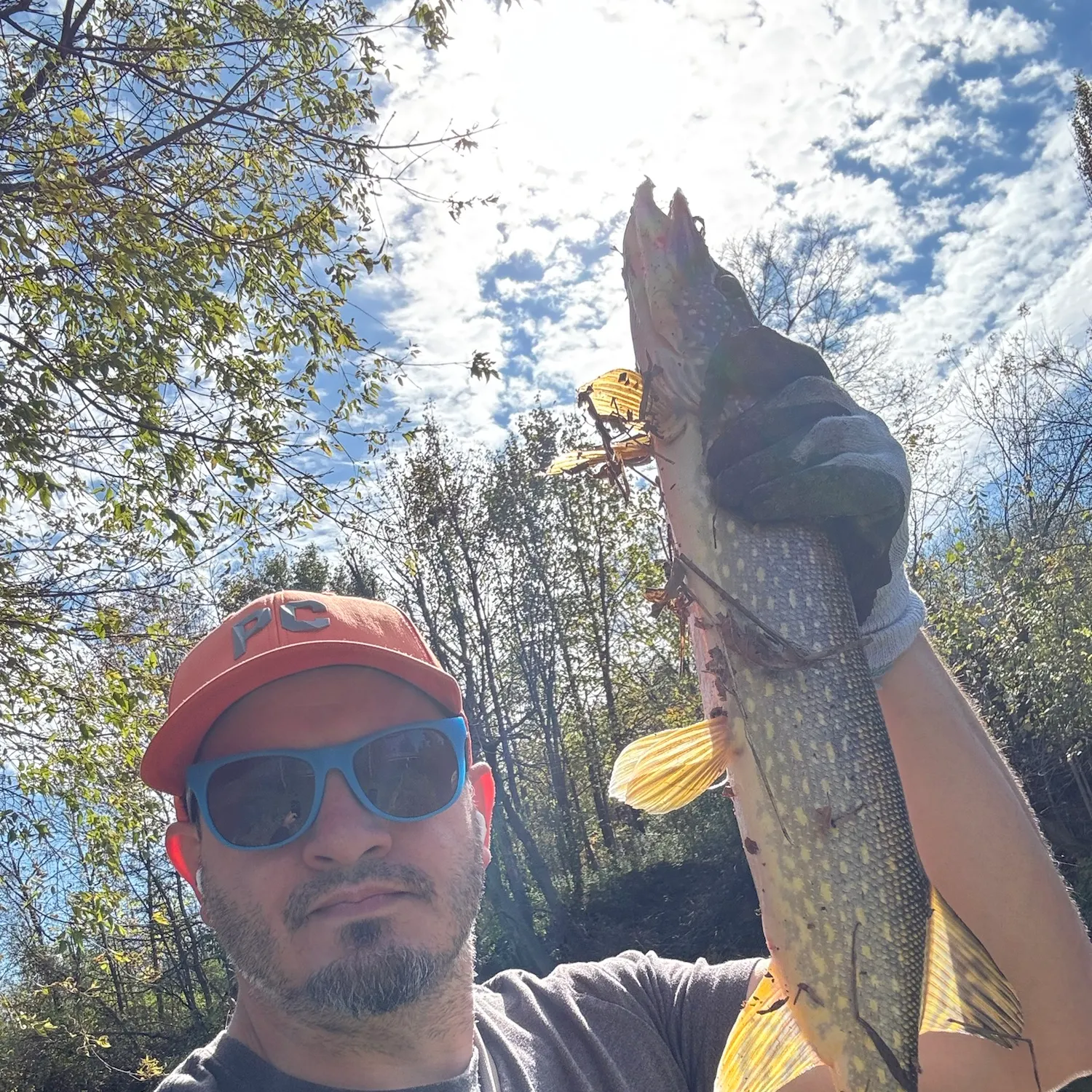 Northern pike caught on Fishbrain