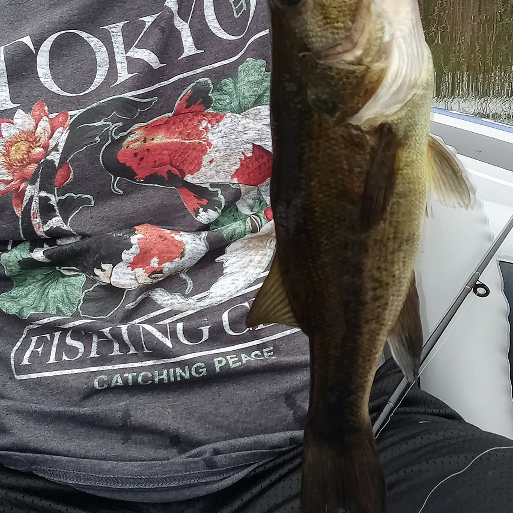 Largemouth bass caught on Fishbrain