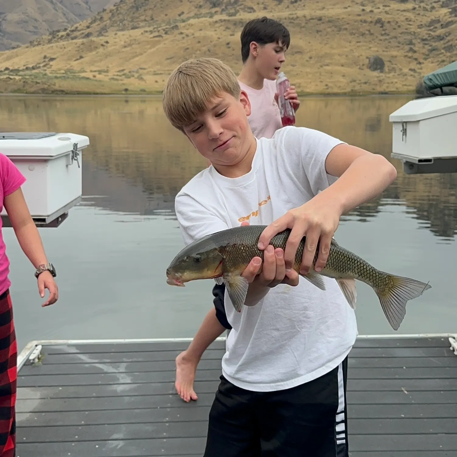 Largescale sucker caught on Fishbrain