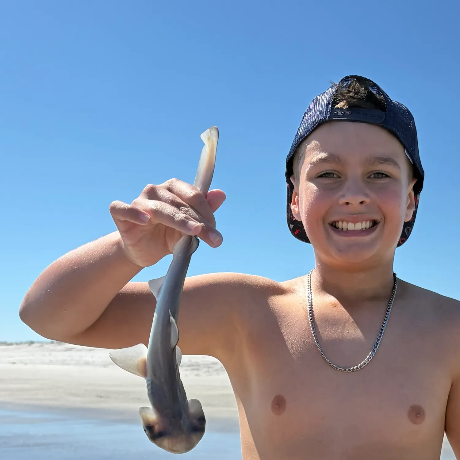 Bonnethead shark caught on Fishbrain