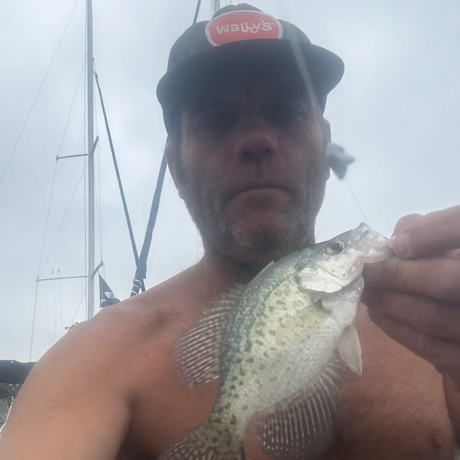 Fish caught on Fishbrain