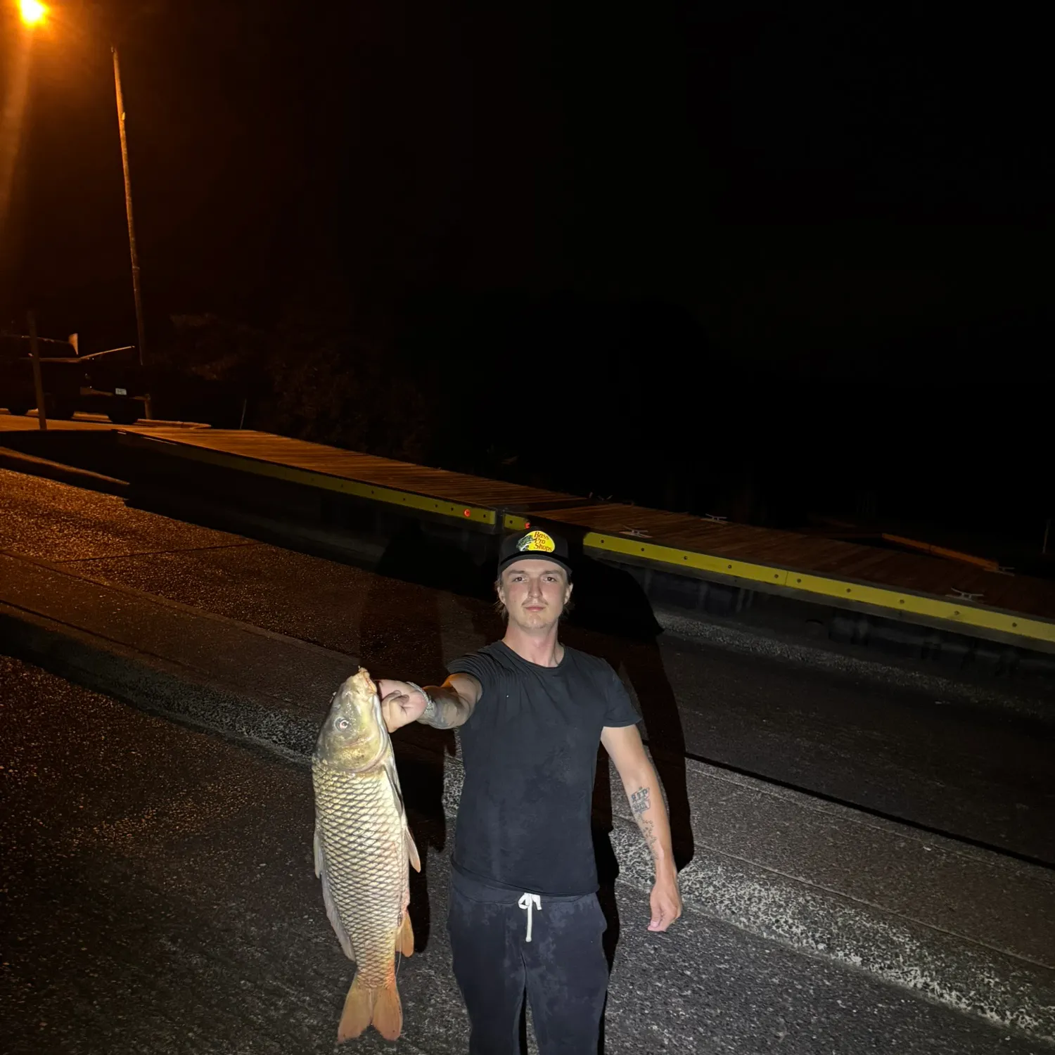 Common carp caught on Fishbrain