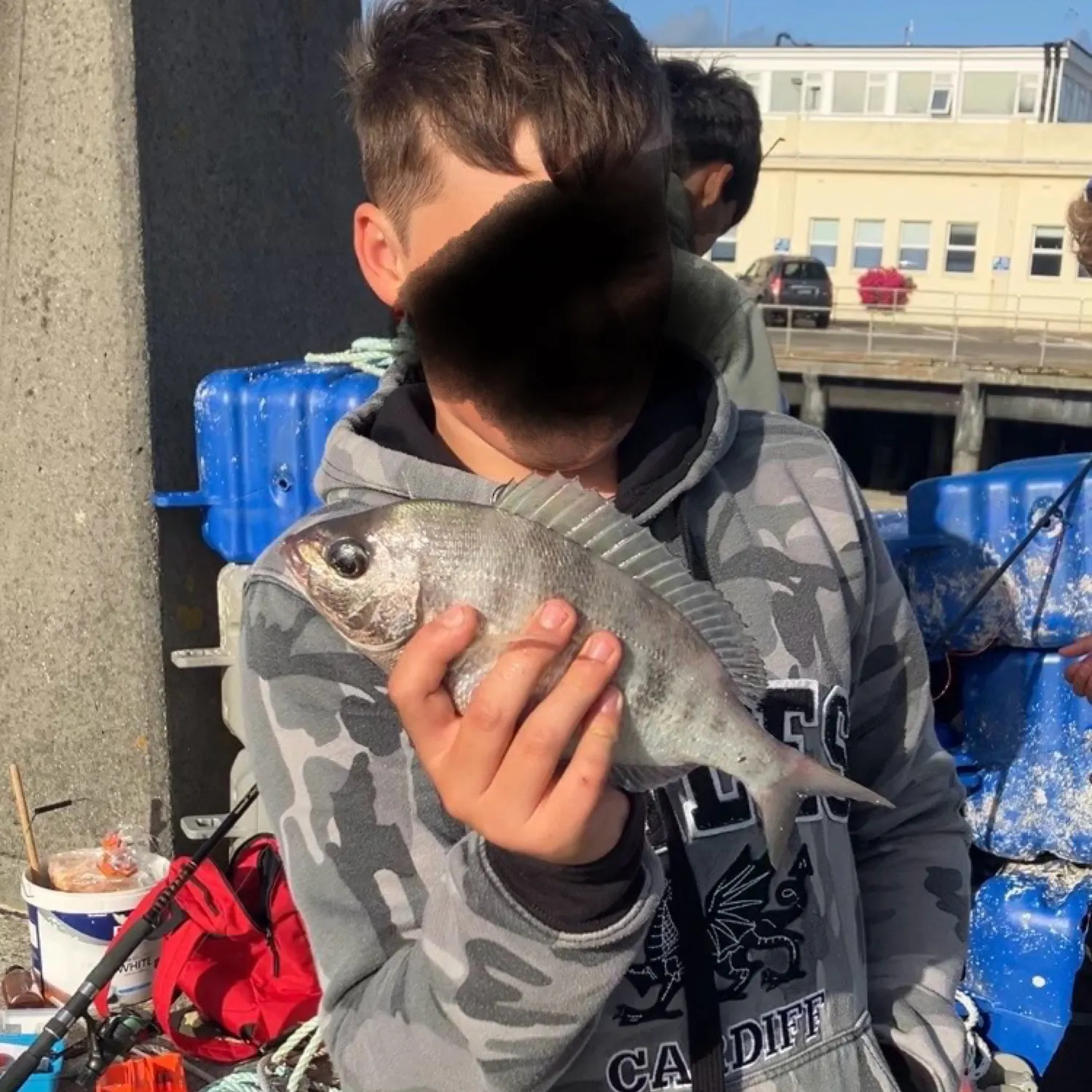 The most recent Black seabream catches on Fishbrain