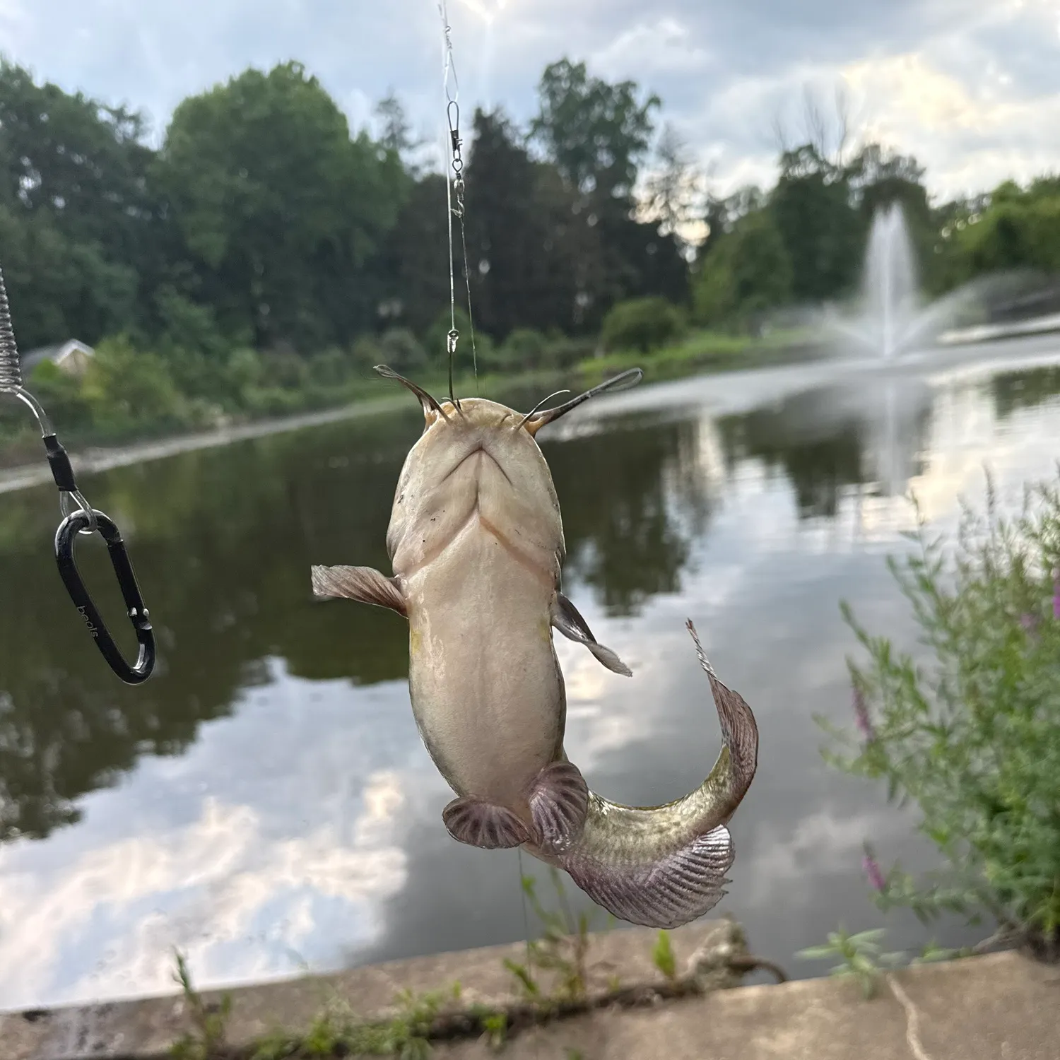 recently logged catches