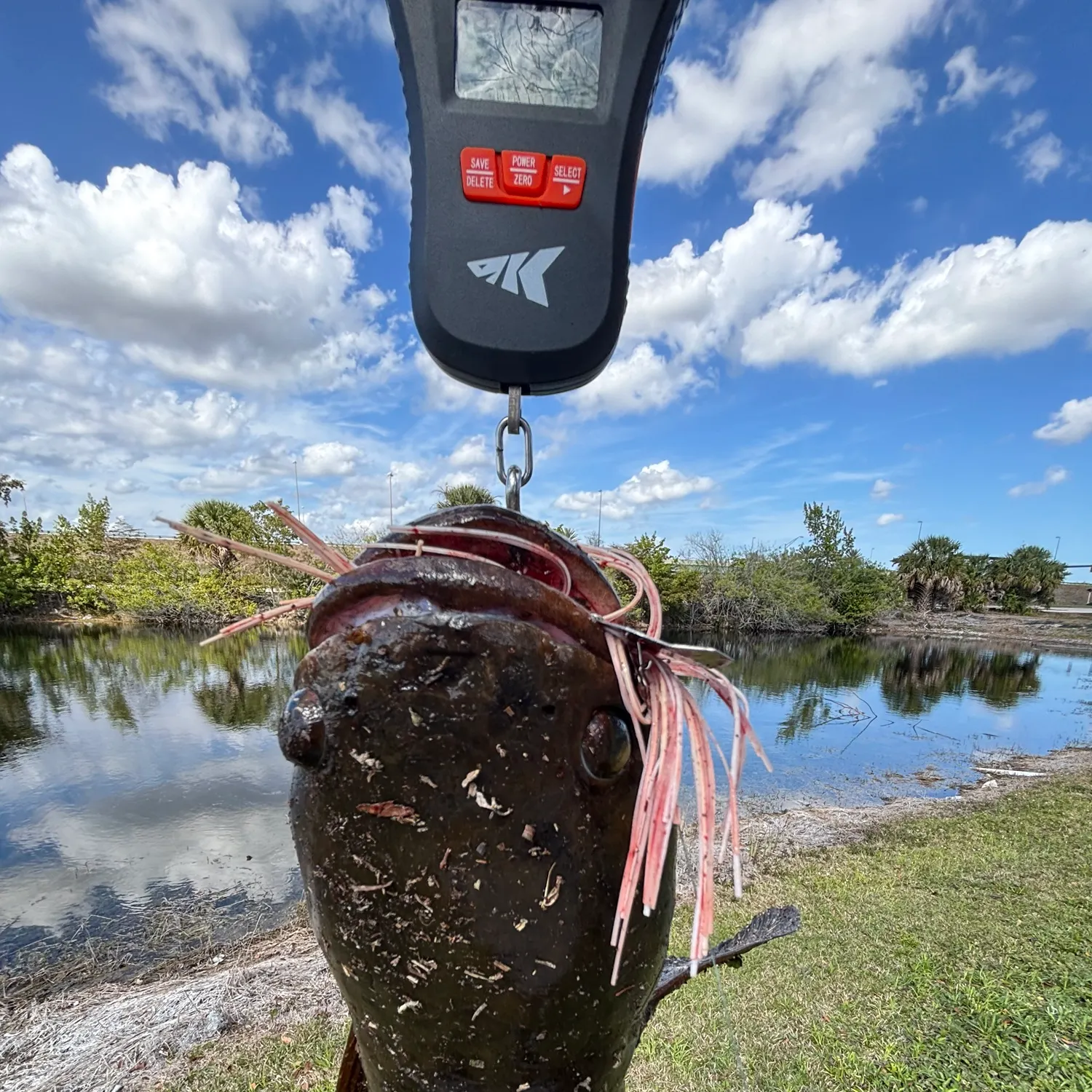 The most recent Bullseye snakehead catches on Fishbrain