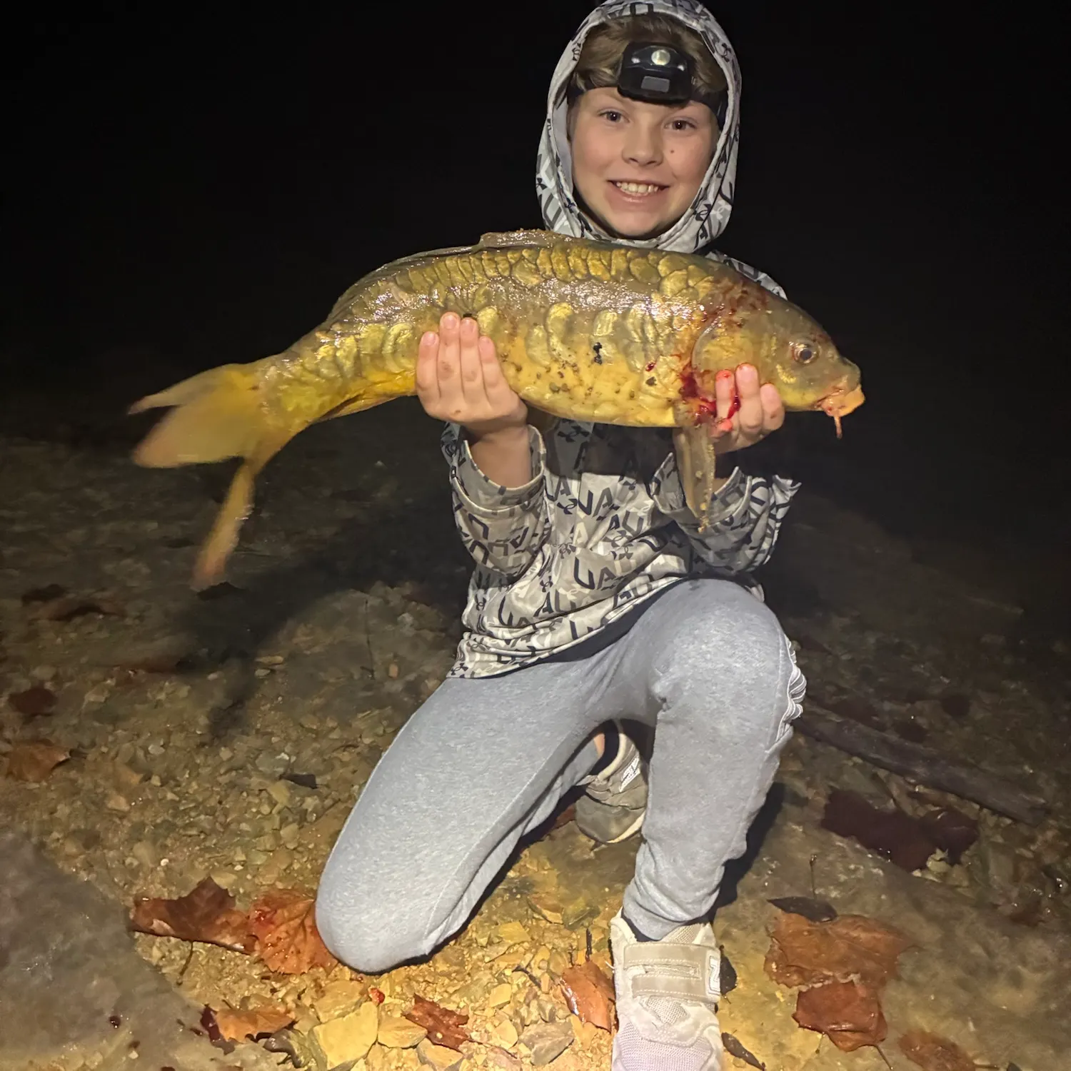 Mirror carp caught on Fishbrain