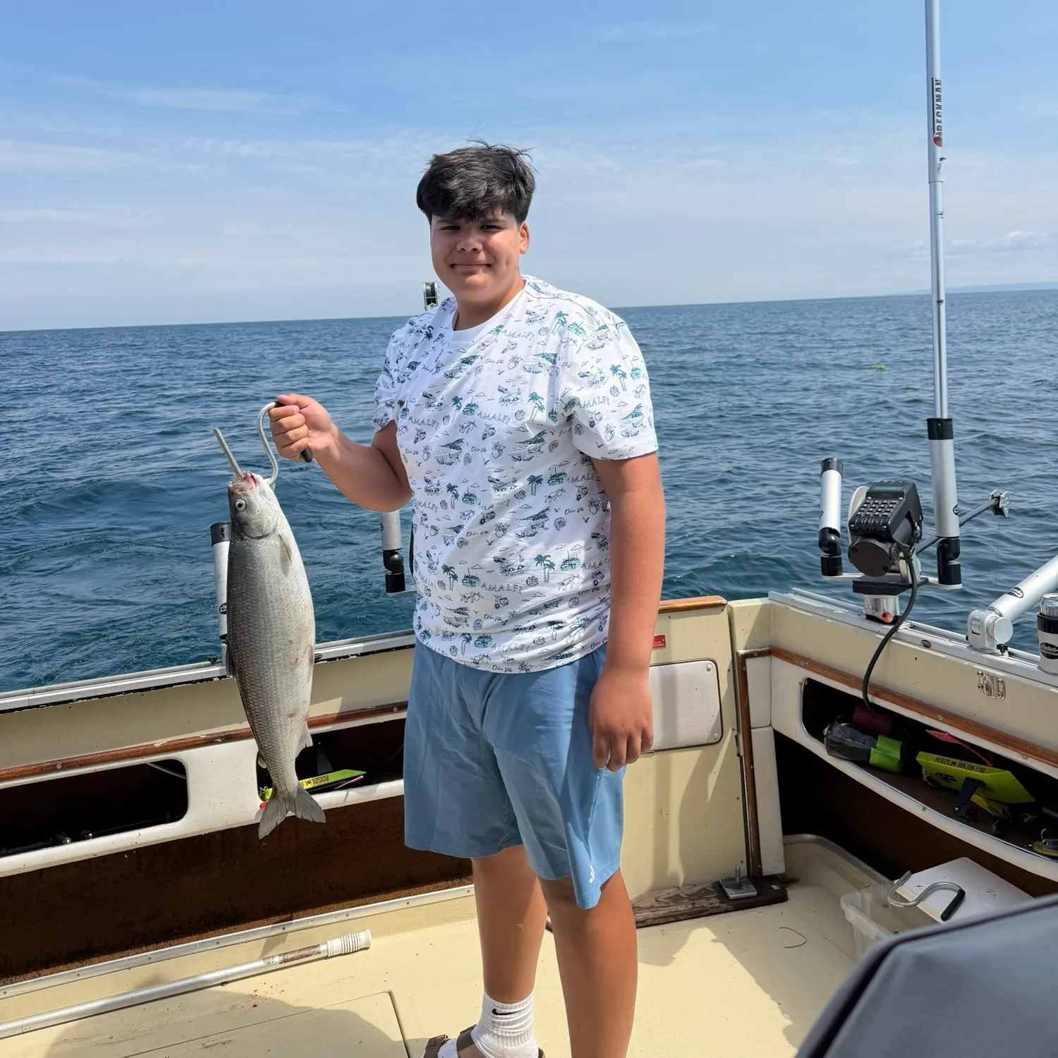 The most recent Lake whitefish catches on Fishbrain
