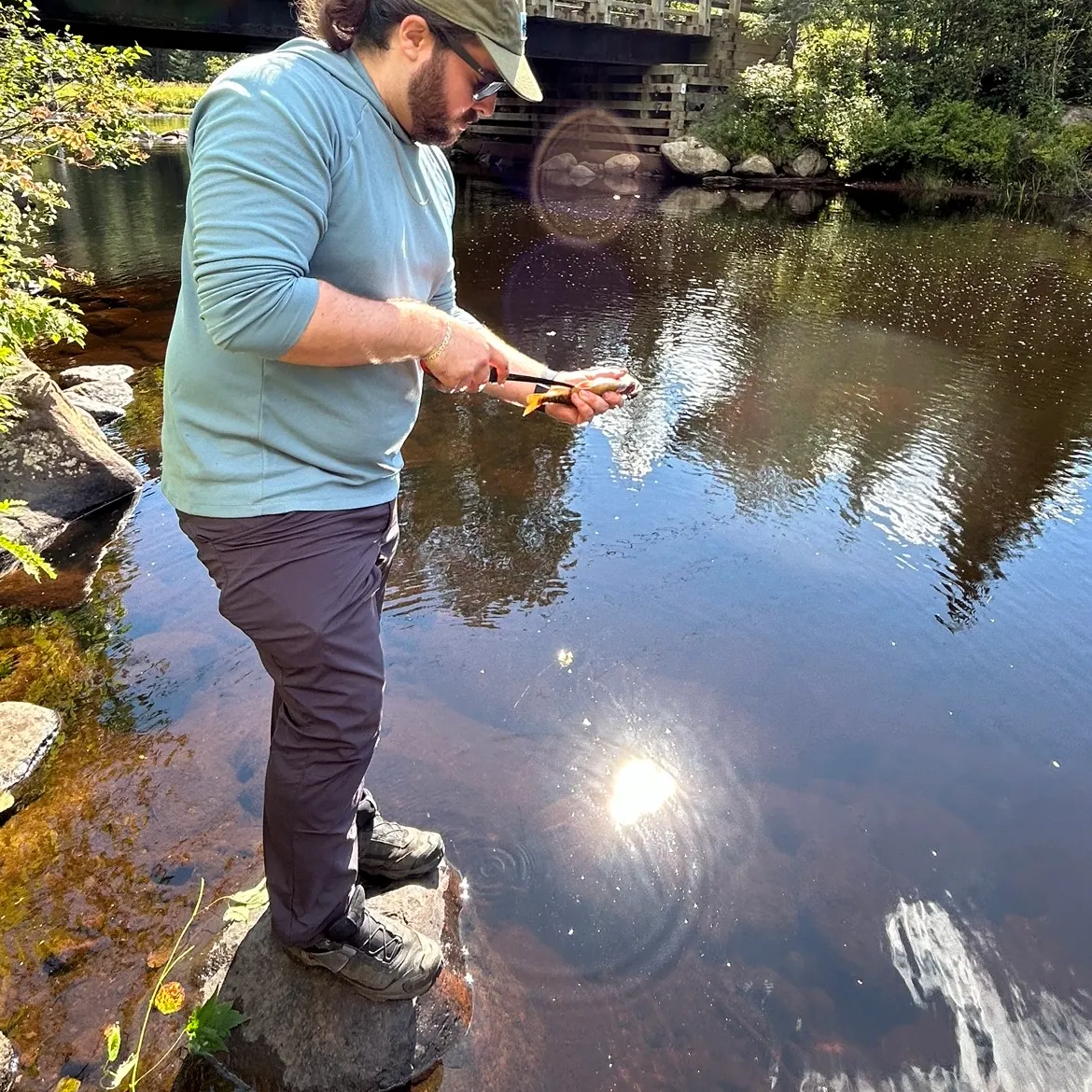 Brook trout caught on Fishbrain