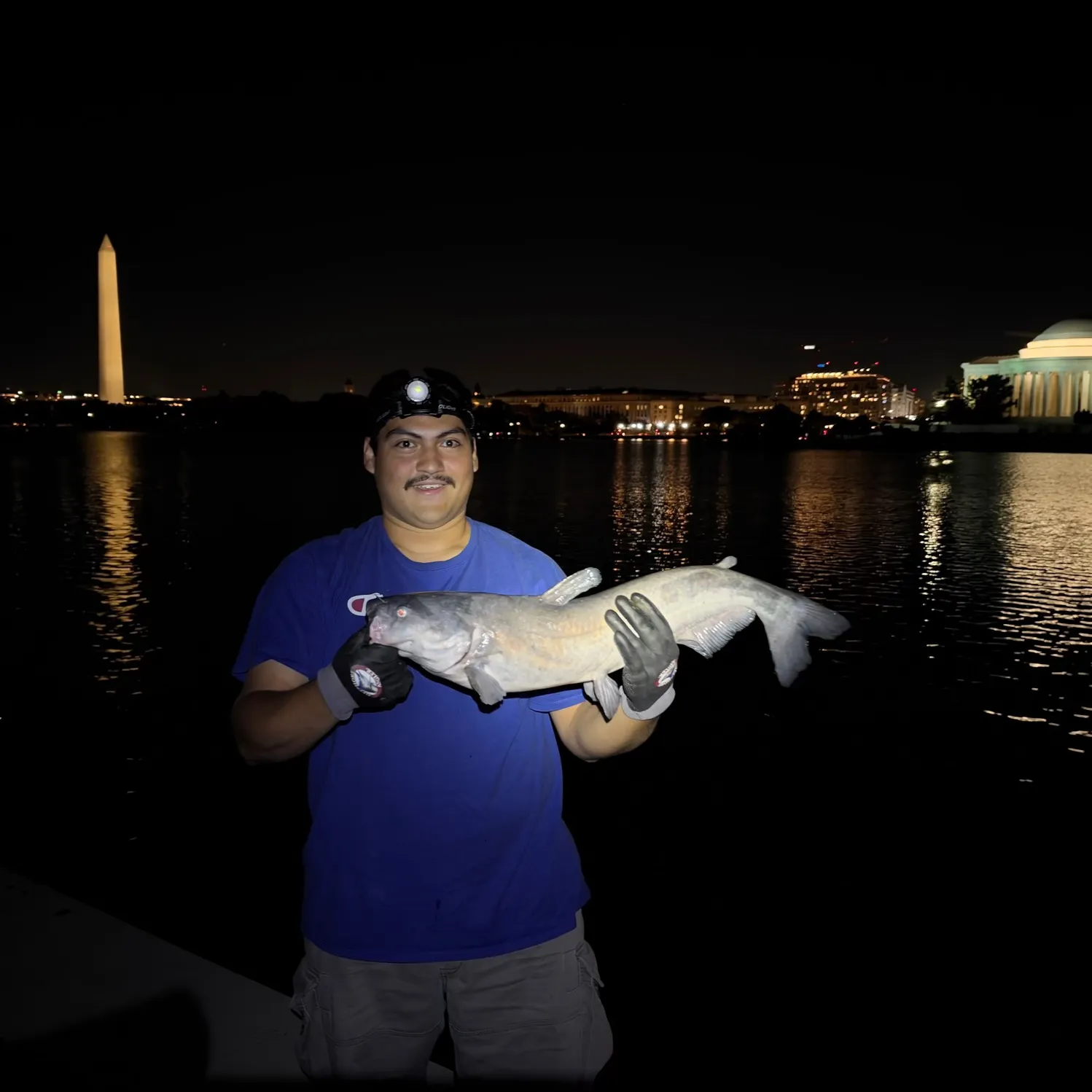 The most recent Blue catfish catches on Fishbrain