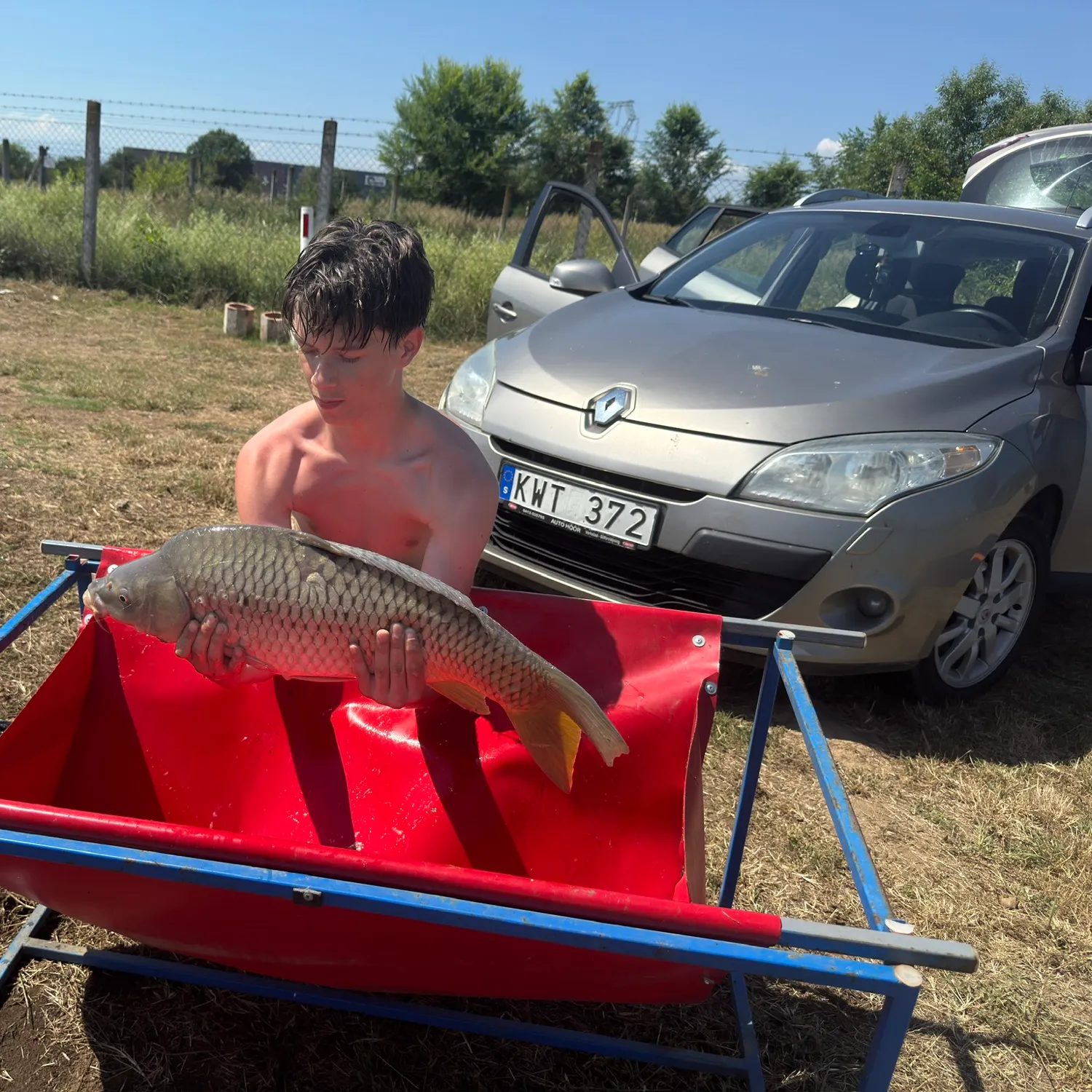 Common carp caught on Fishbrain