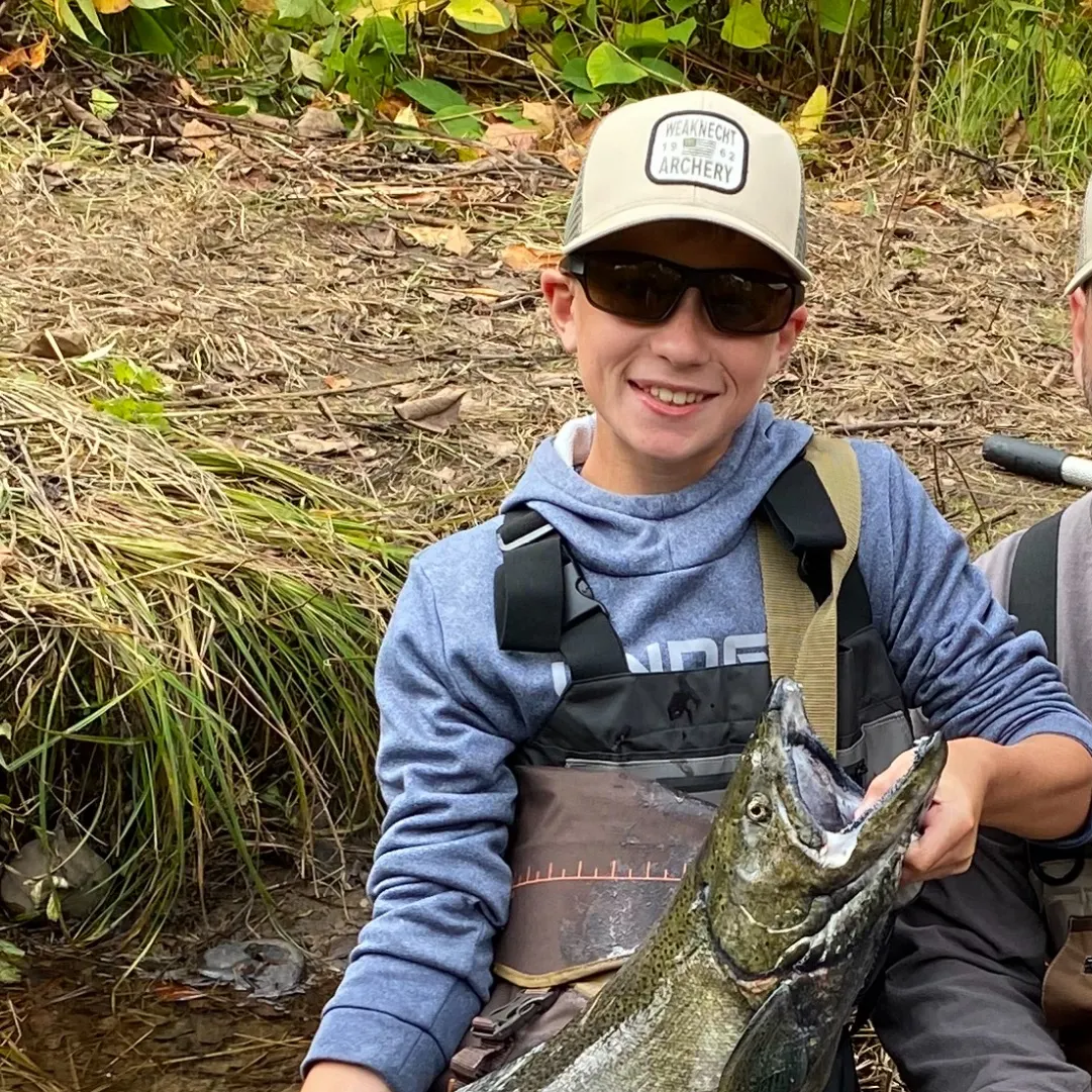 The most recent Chinook salmon catches on Fishbrain