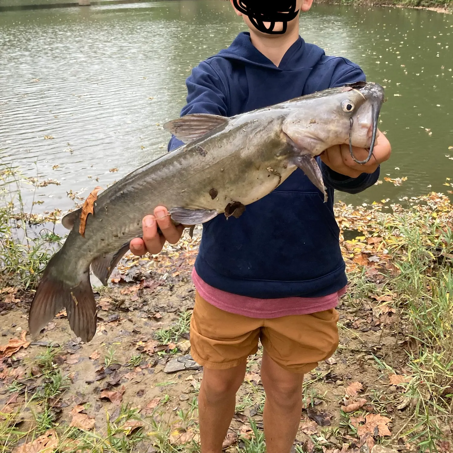 Channel catfish caught on Fishbrain