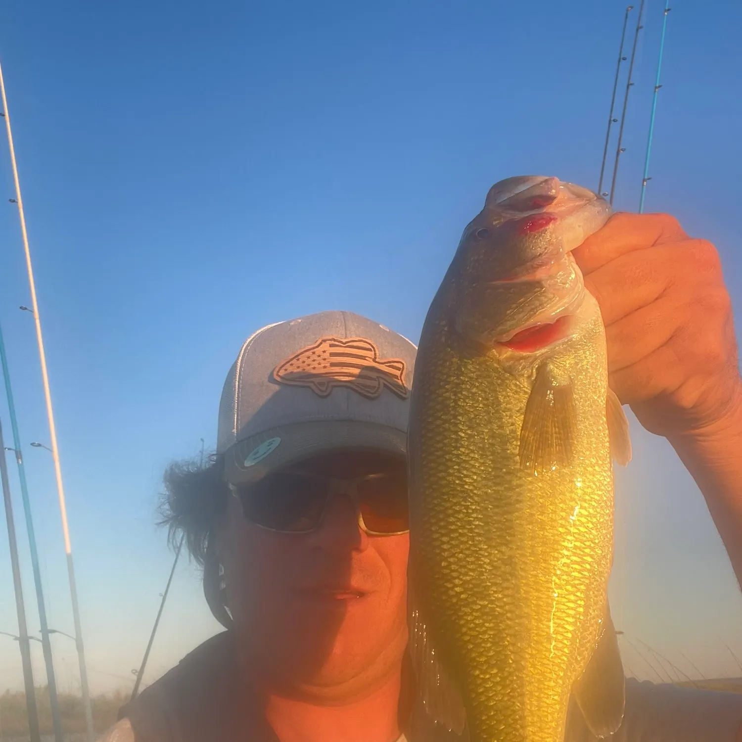 angler catch