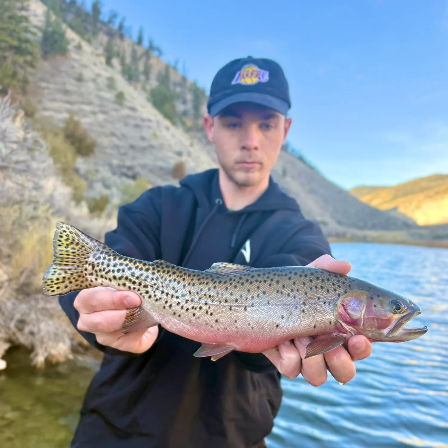 The most recent Colorado river cutthroat trout catches on Fishbrain
