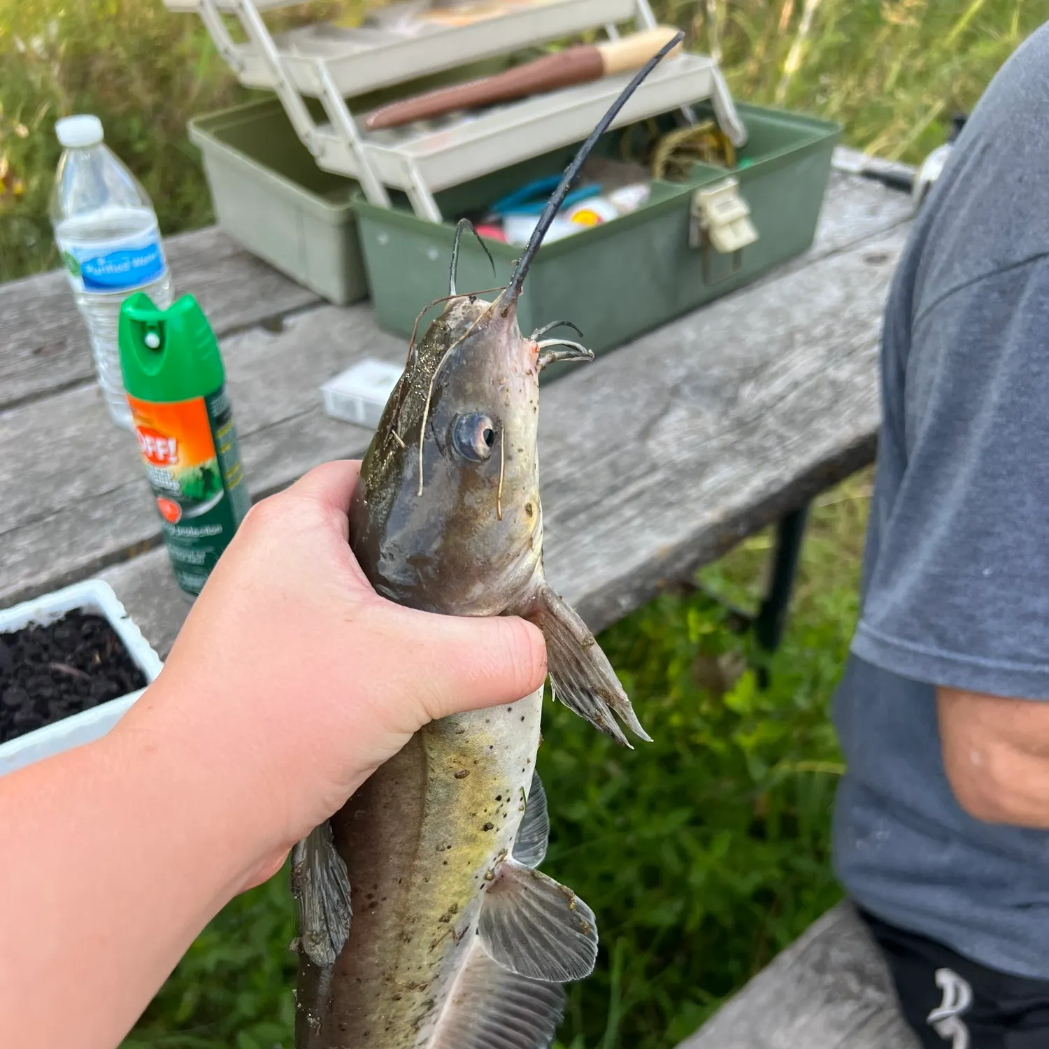 catch