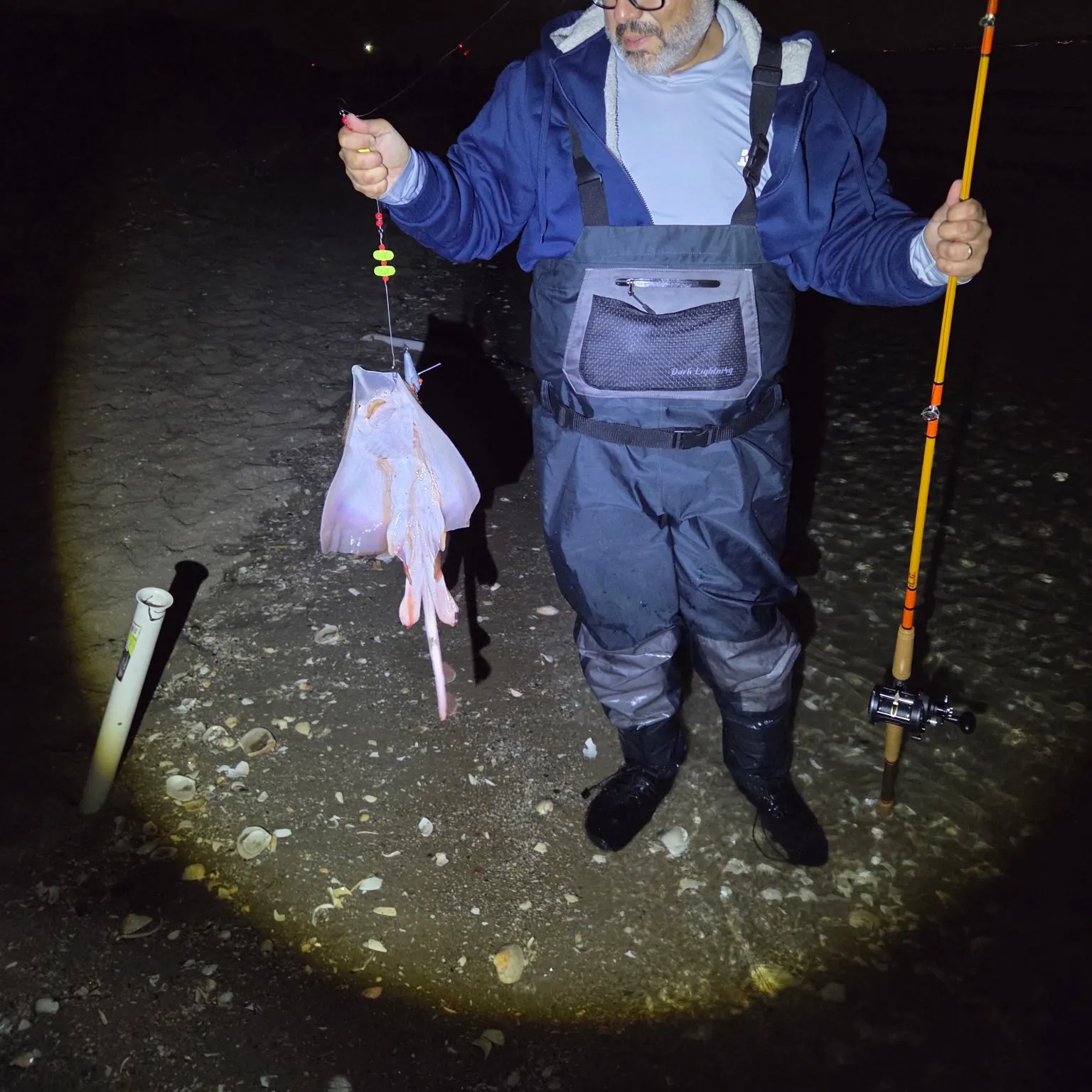 The most recent Blue skate catches on Fishbrain