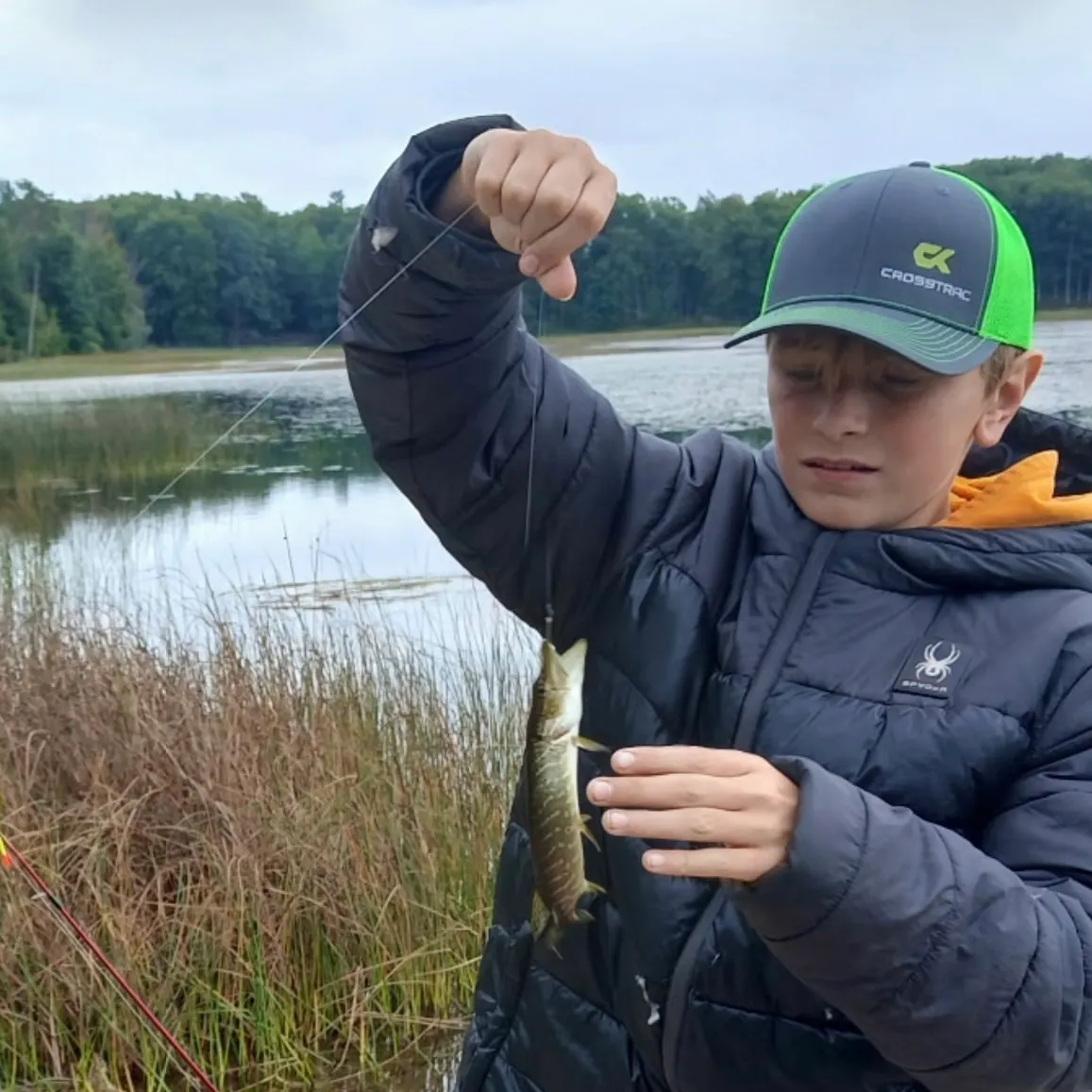 Northern pike caught on Fishbrain