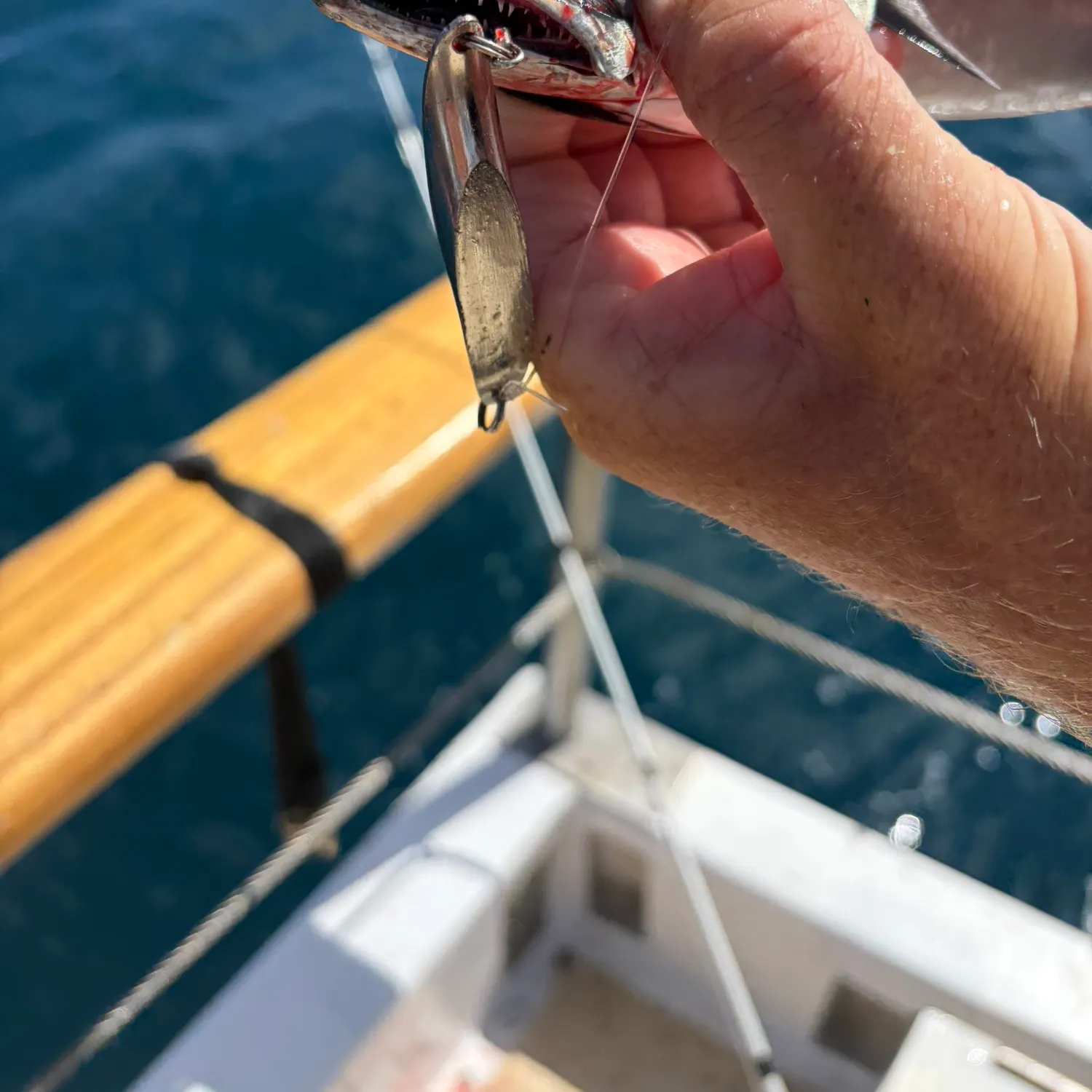The most recent Striped bonito catches on Fishbrain