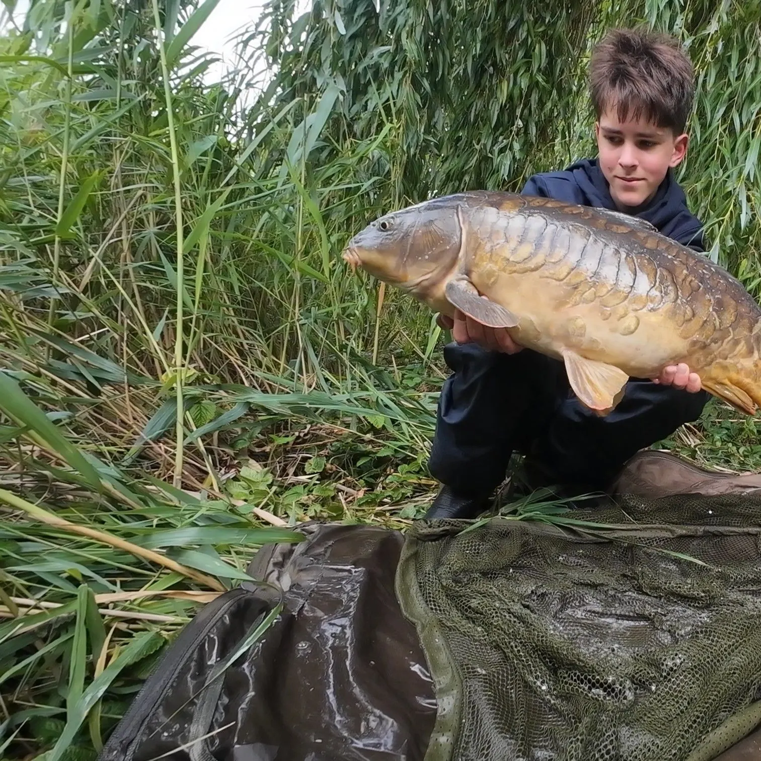 Mirror carp caught on Fishbrain