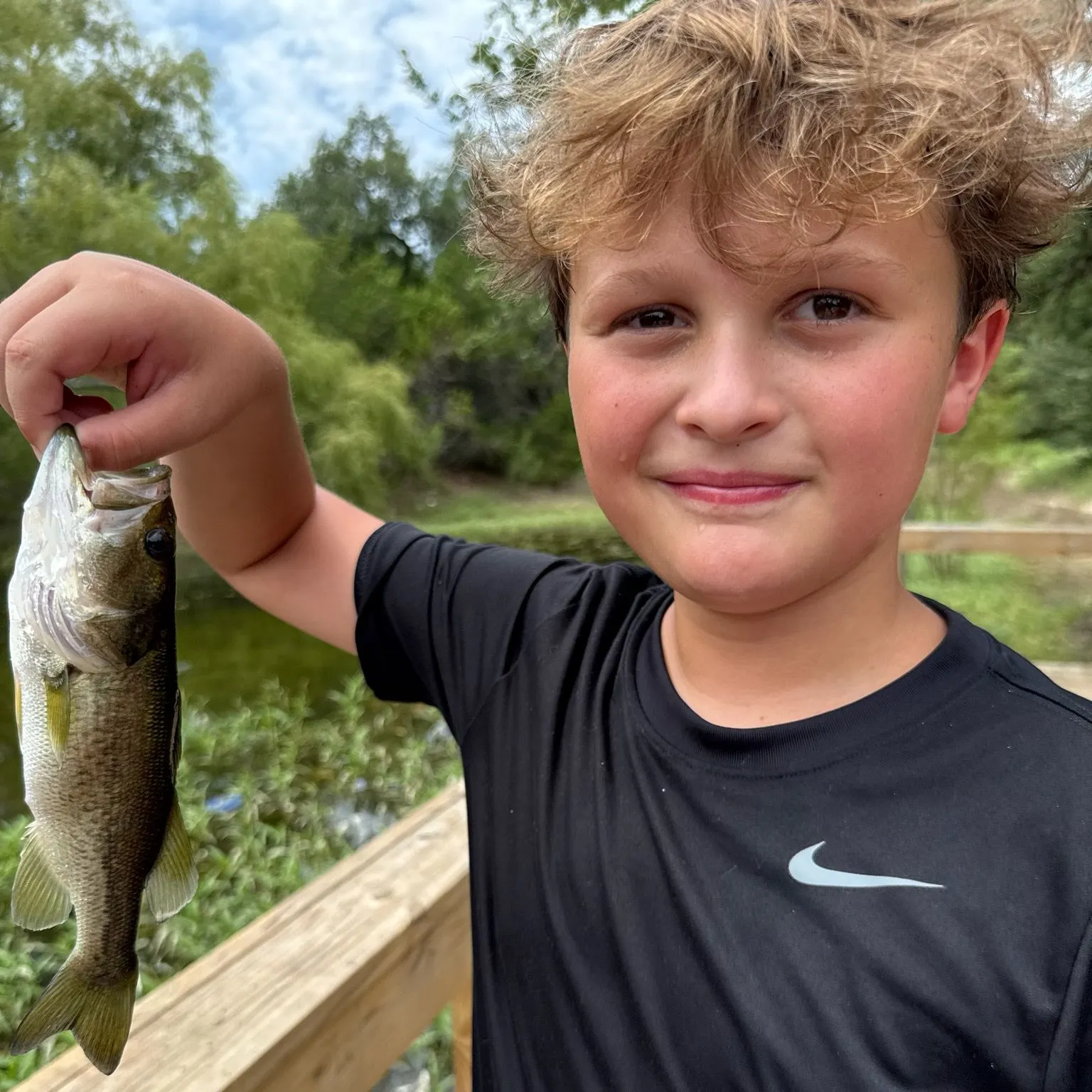 The most recent Yellow bass catches on Fishbrain