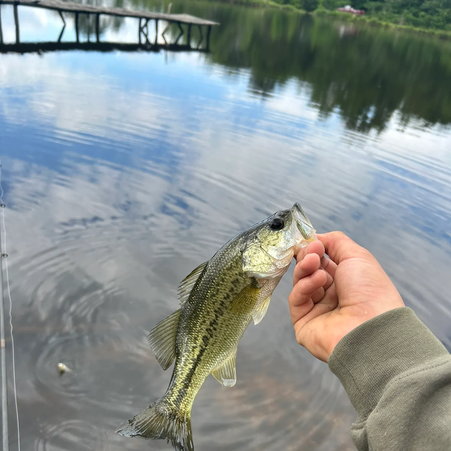 angler catch