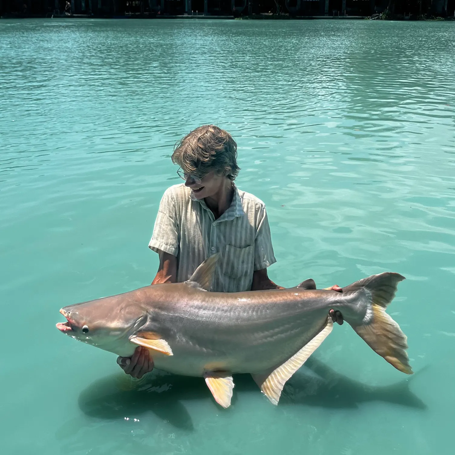 The most recent Mekong giant catfish catches on Fishbrain