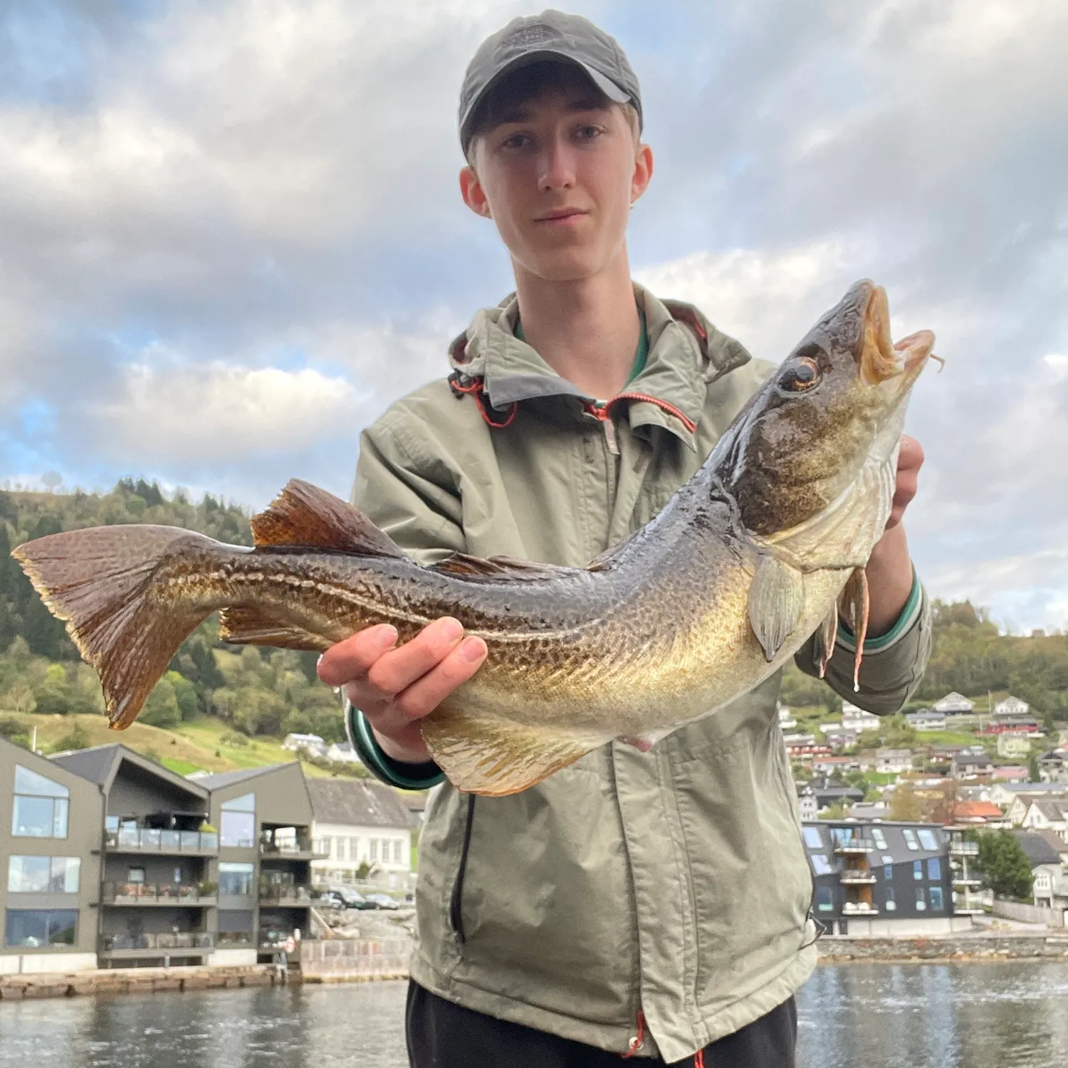 Atlantic cod caught on Fishbrain