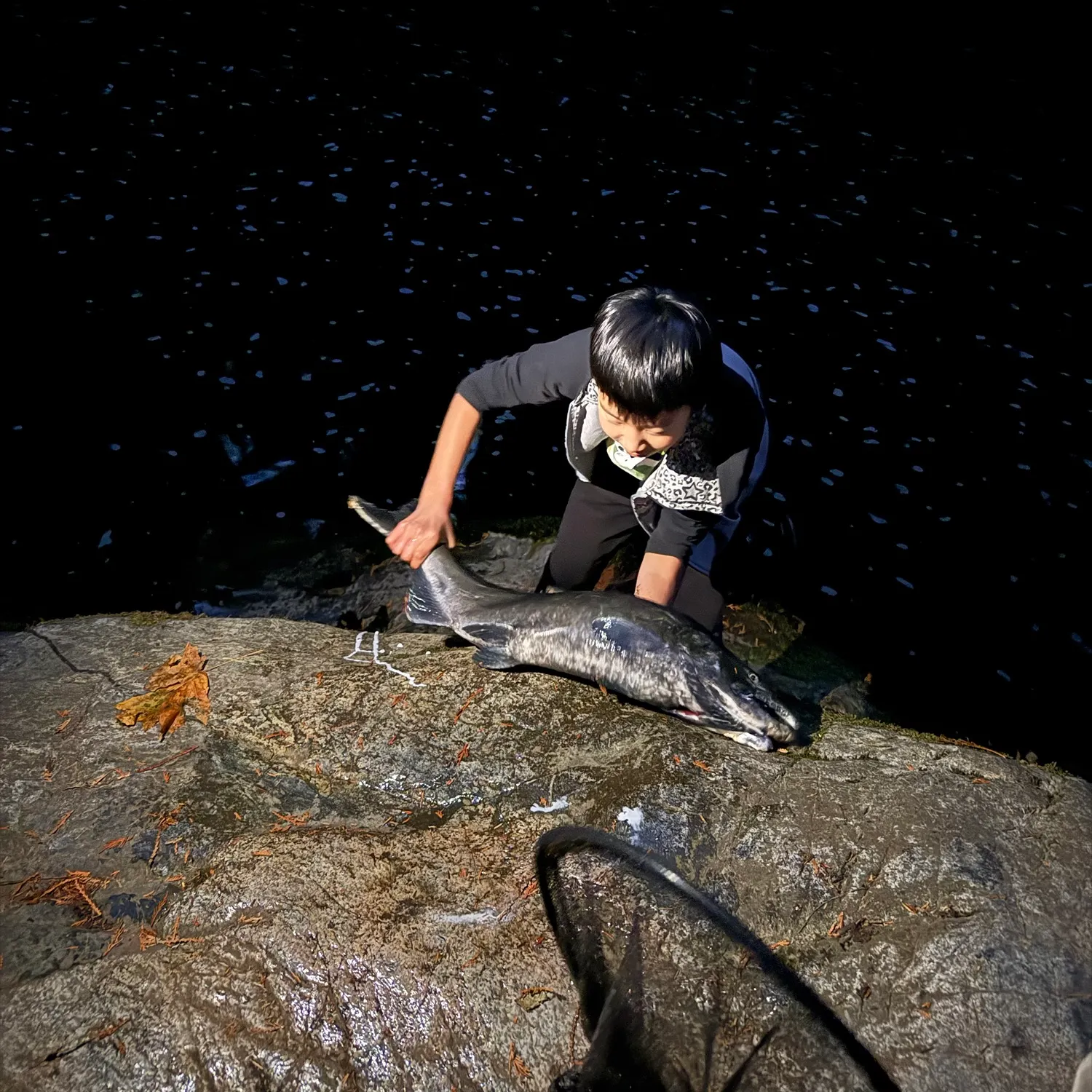 Chinook salmon caught on Fishbrain