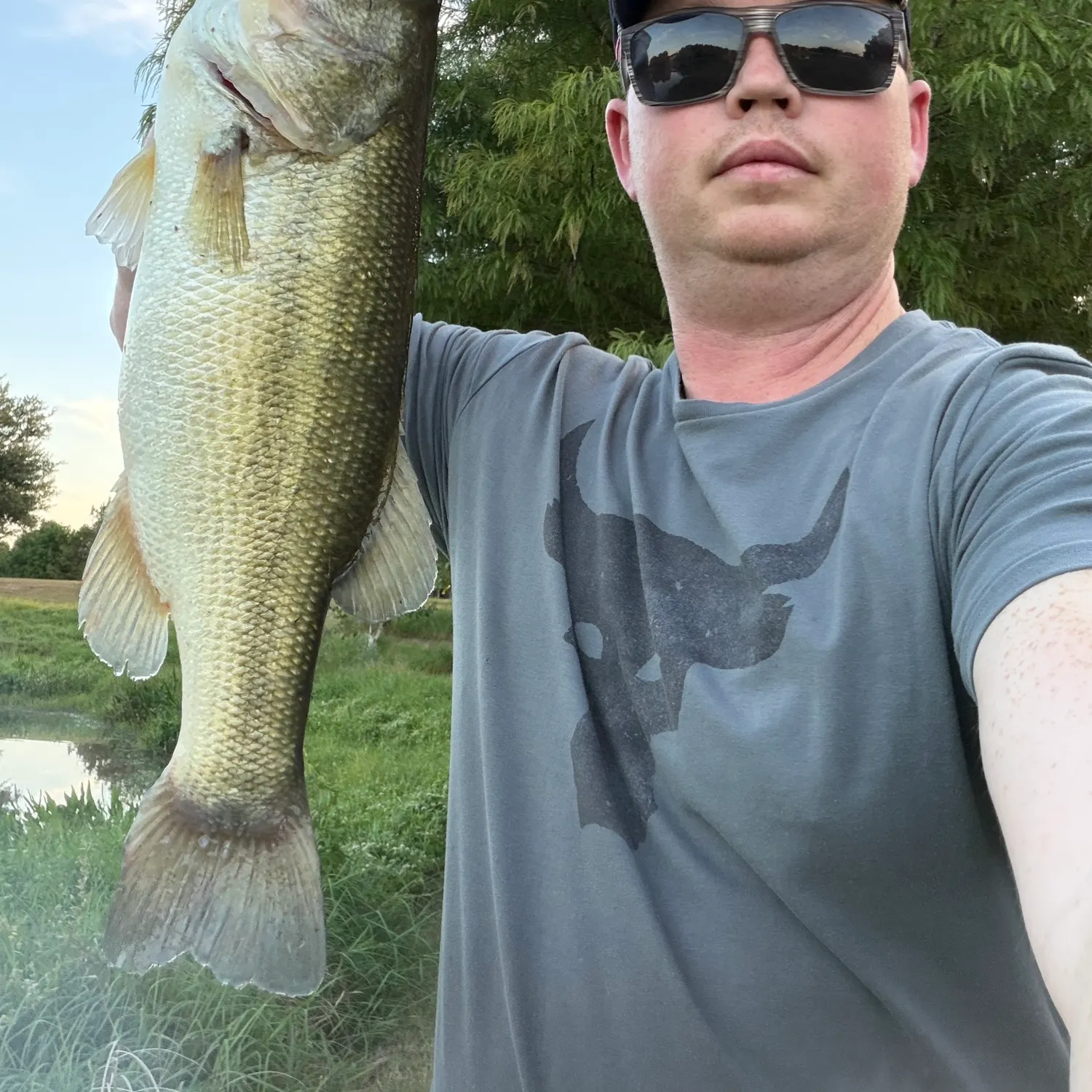 Largemouth bass caught on Fishbrain