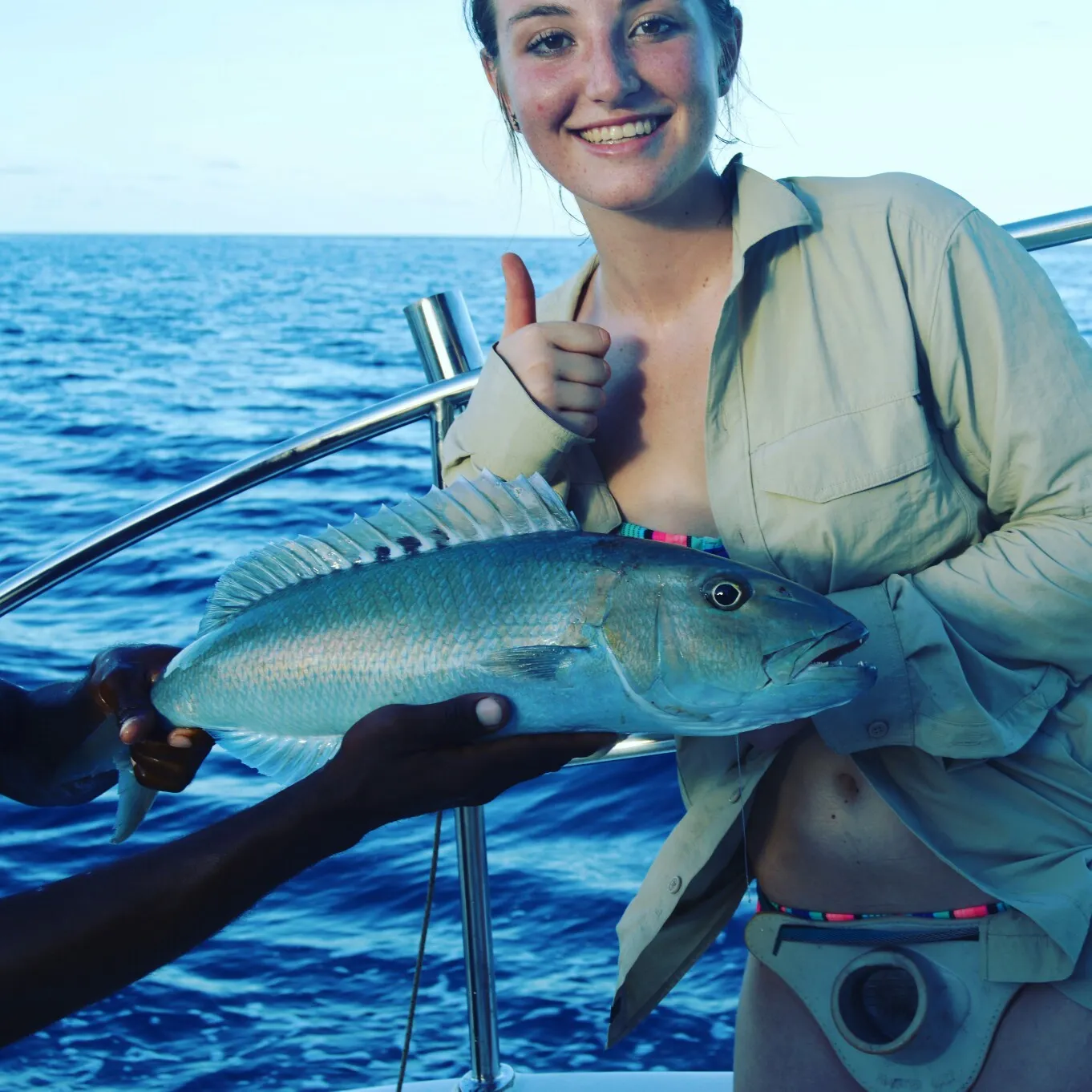 The most recent Sharptooth jobfish catches on Fishbrain