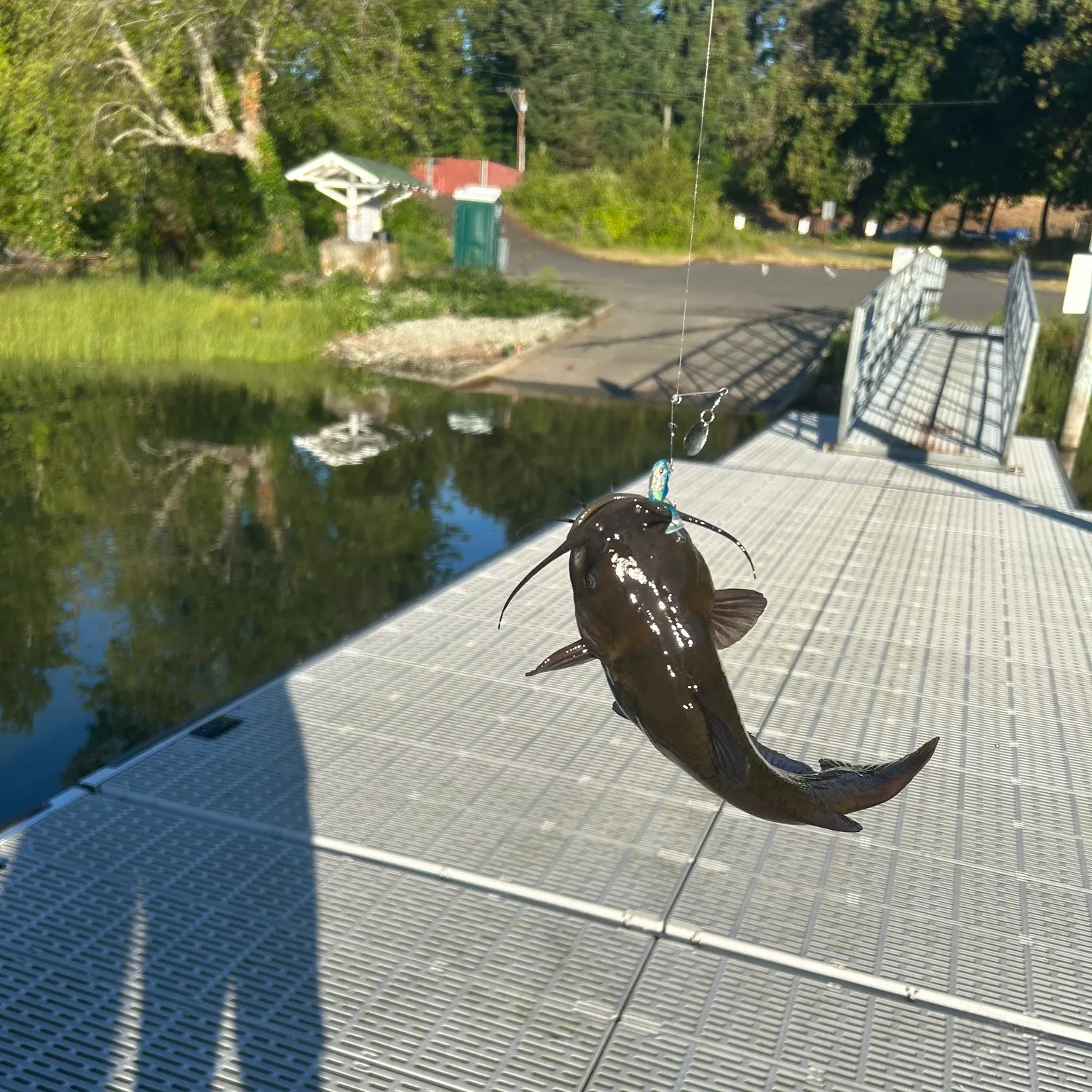 catch