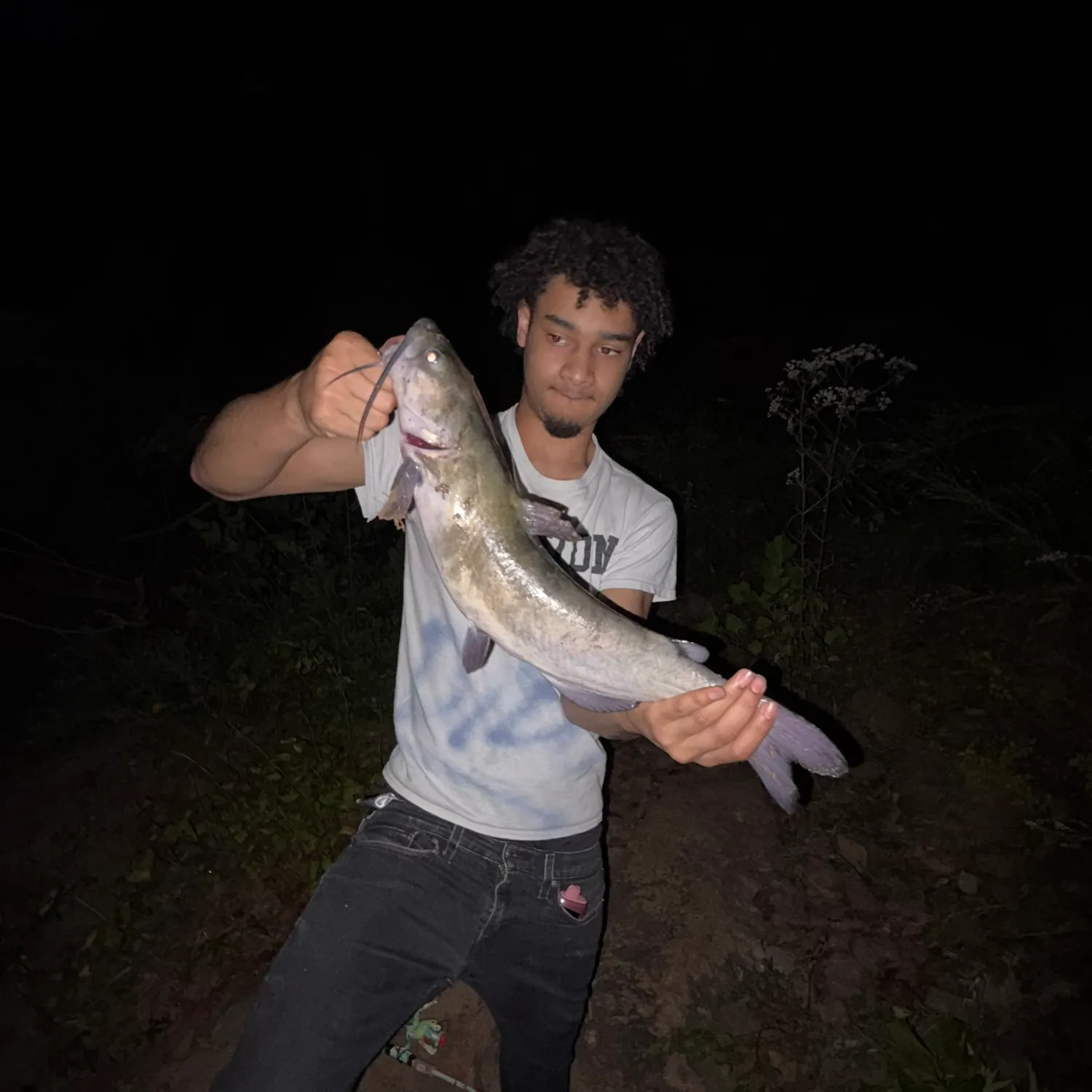 Channel catfish caught on Fishbrain