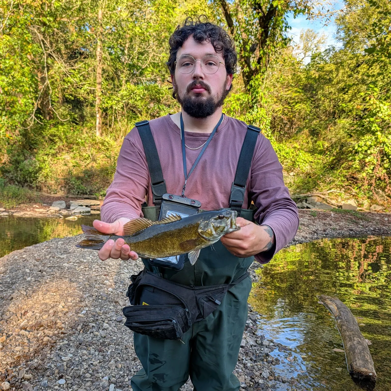Smallmouth bass caught on Fishbrain