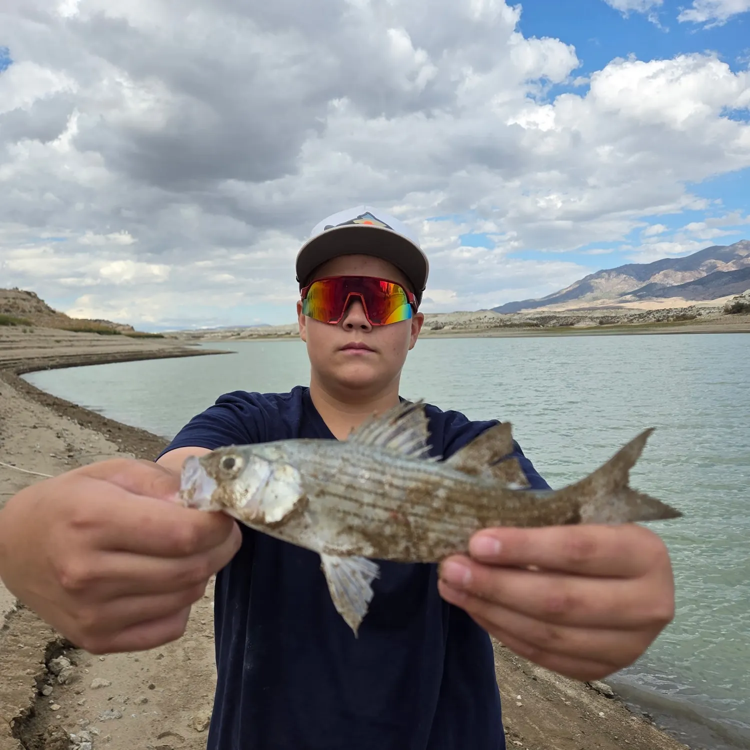 Wiper caught on Fishbrain