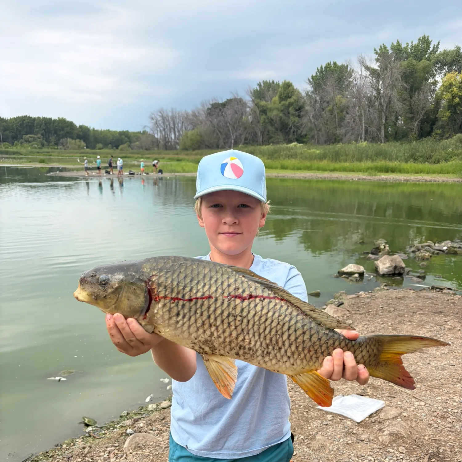 Common carp caught on Fishbrain