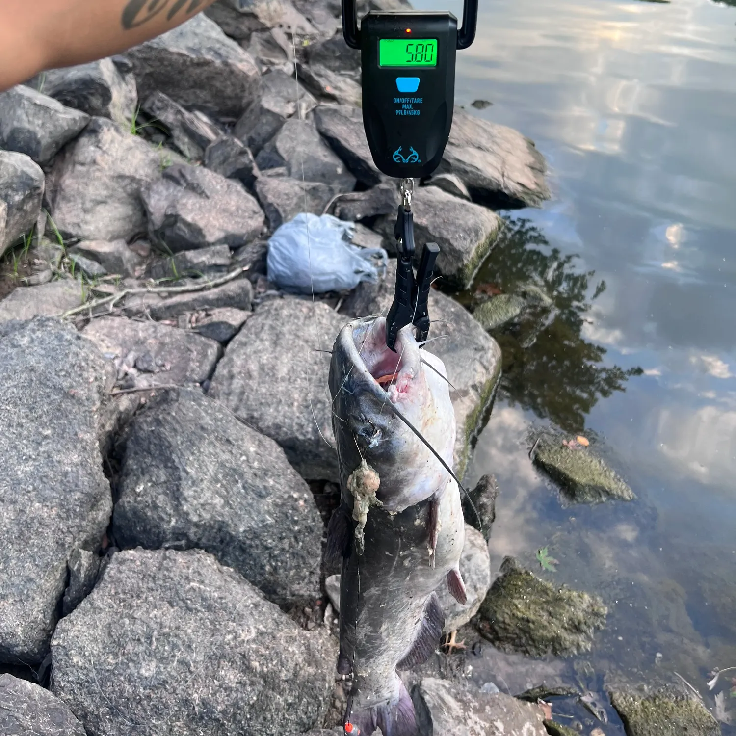 catch
