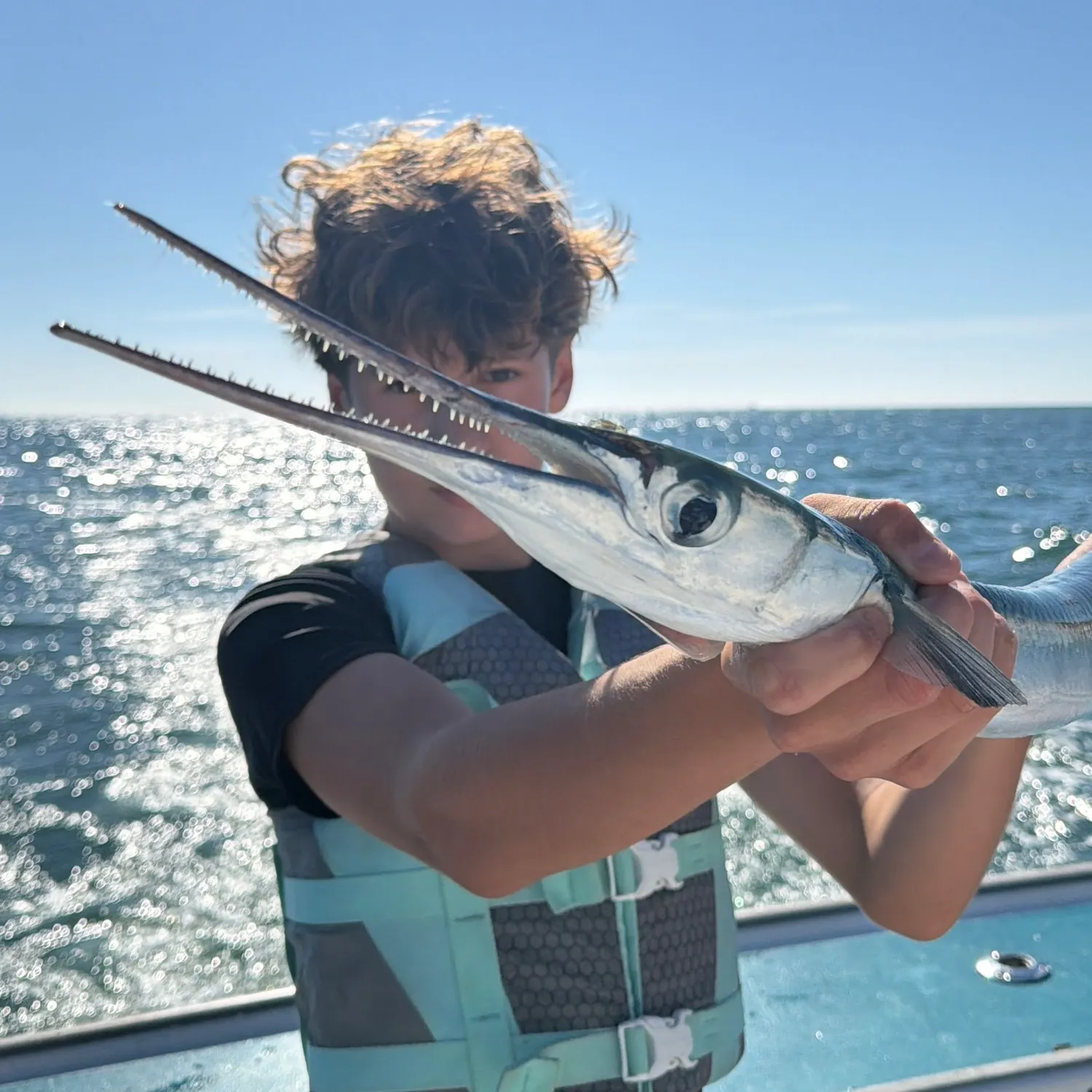 The most recent Flat needlefish catches on Fishbrain