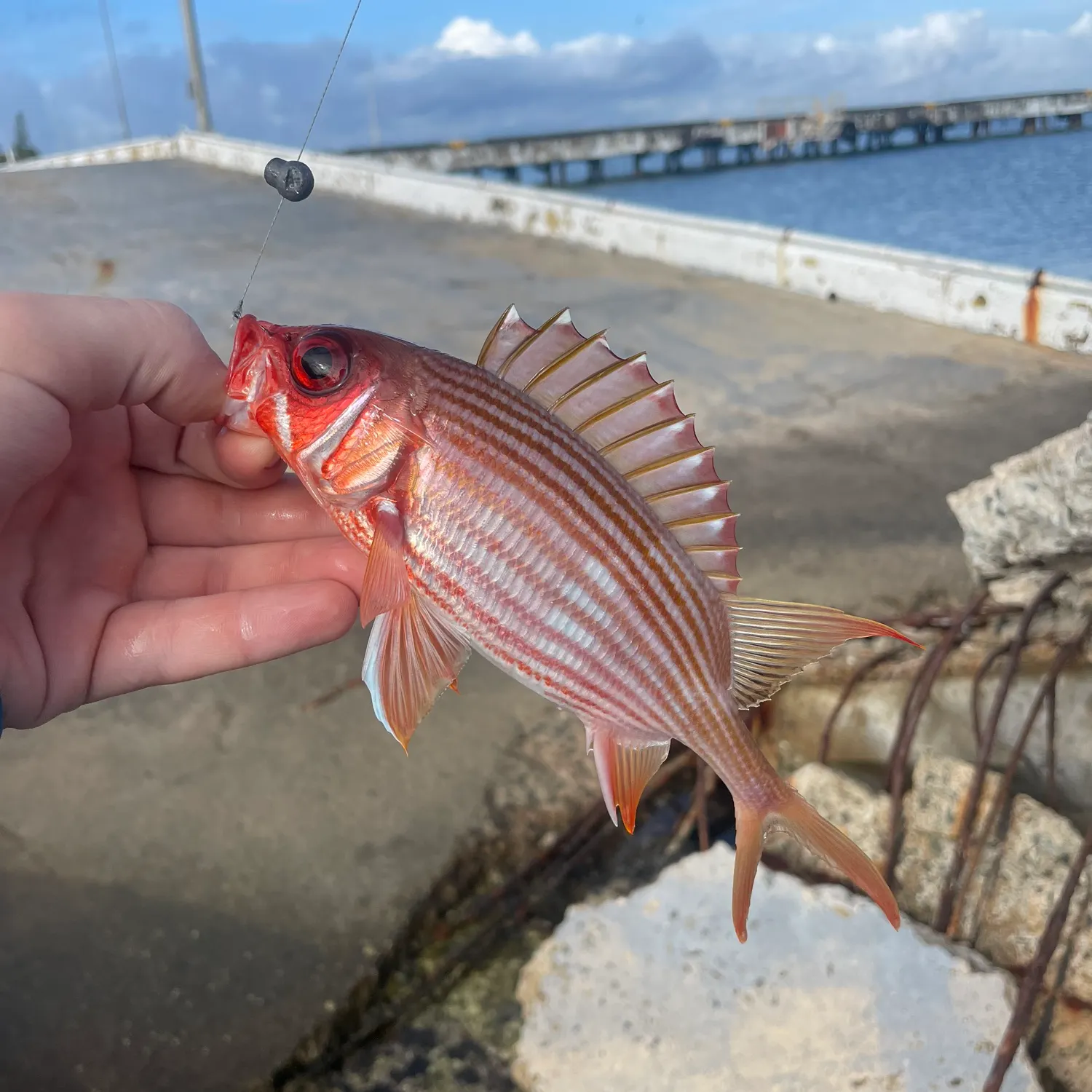 catch