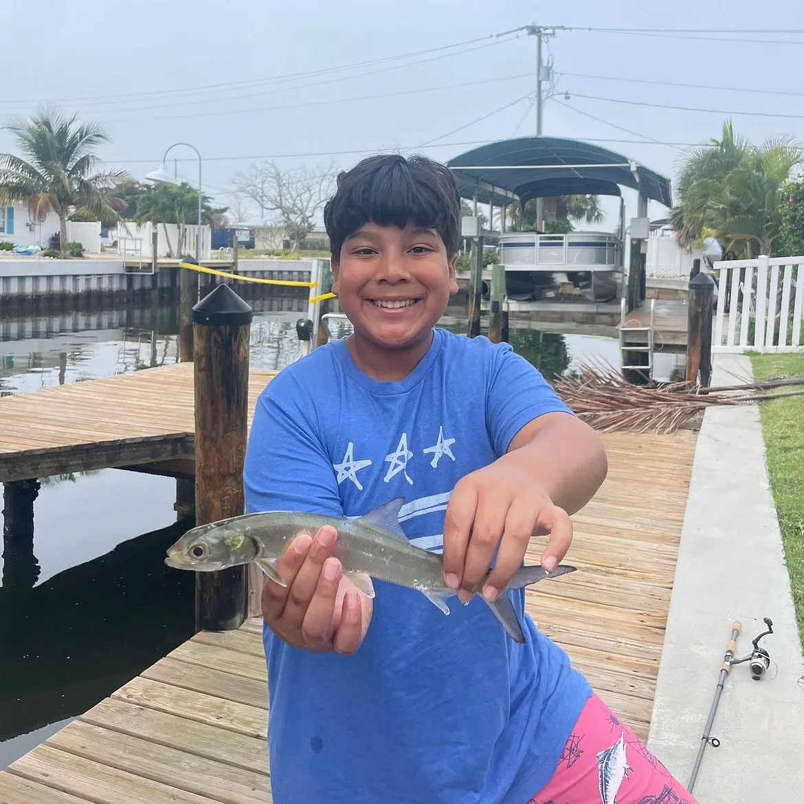 The most recent Ladyfish catches on Fishbrain