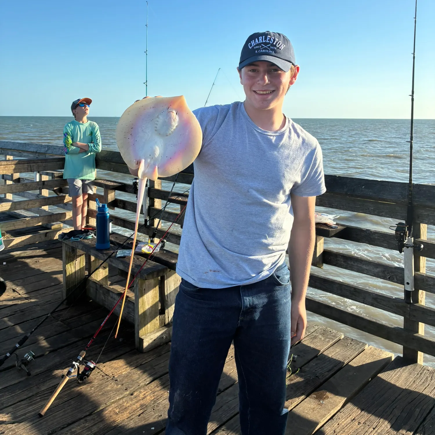 The most recent Thornback ray catches on Fishbrain