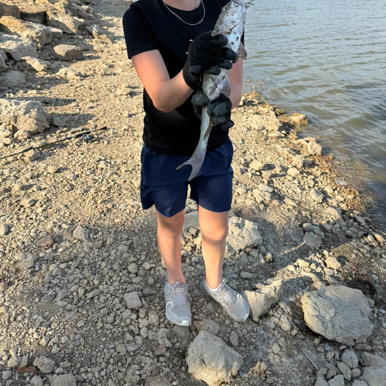 Channel catfish caught on Fishbrain
