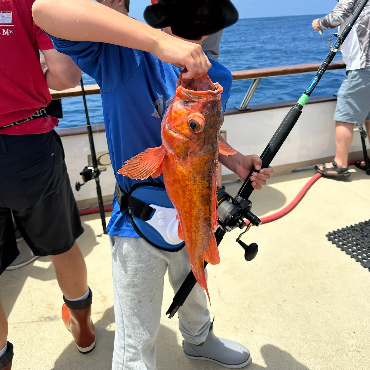 The most recent Vermilion rockfish catches on Fishbrain