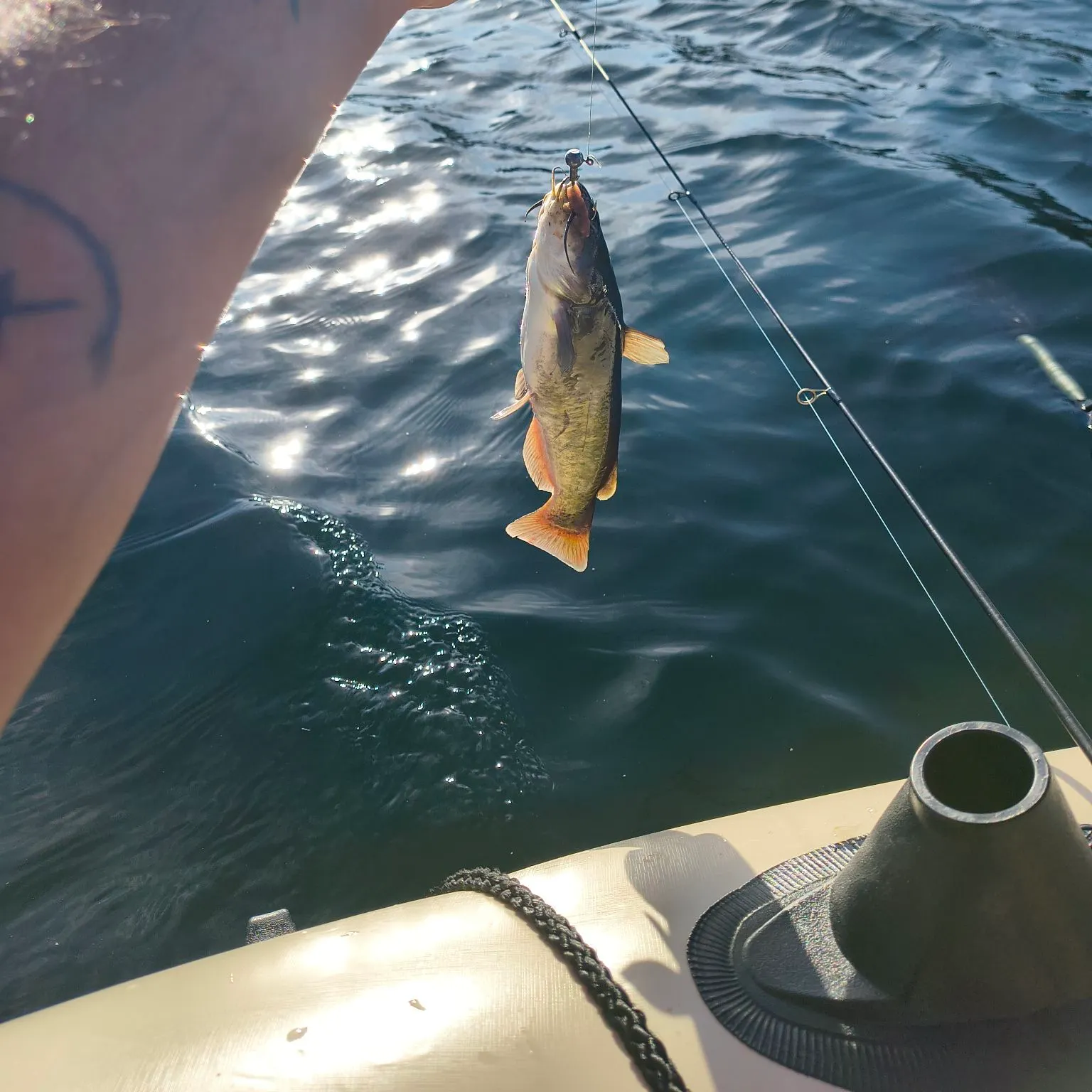 Fishing in Spokane, WA (United States) ️️️️ Find Spots, Species & Tips