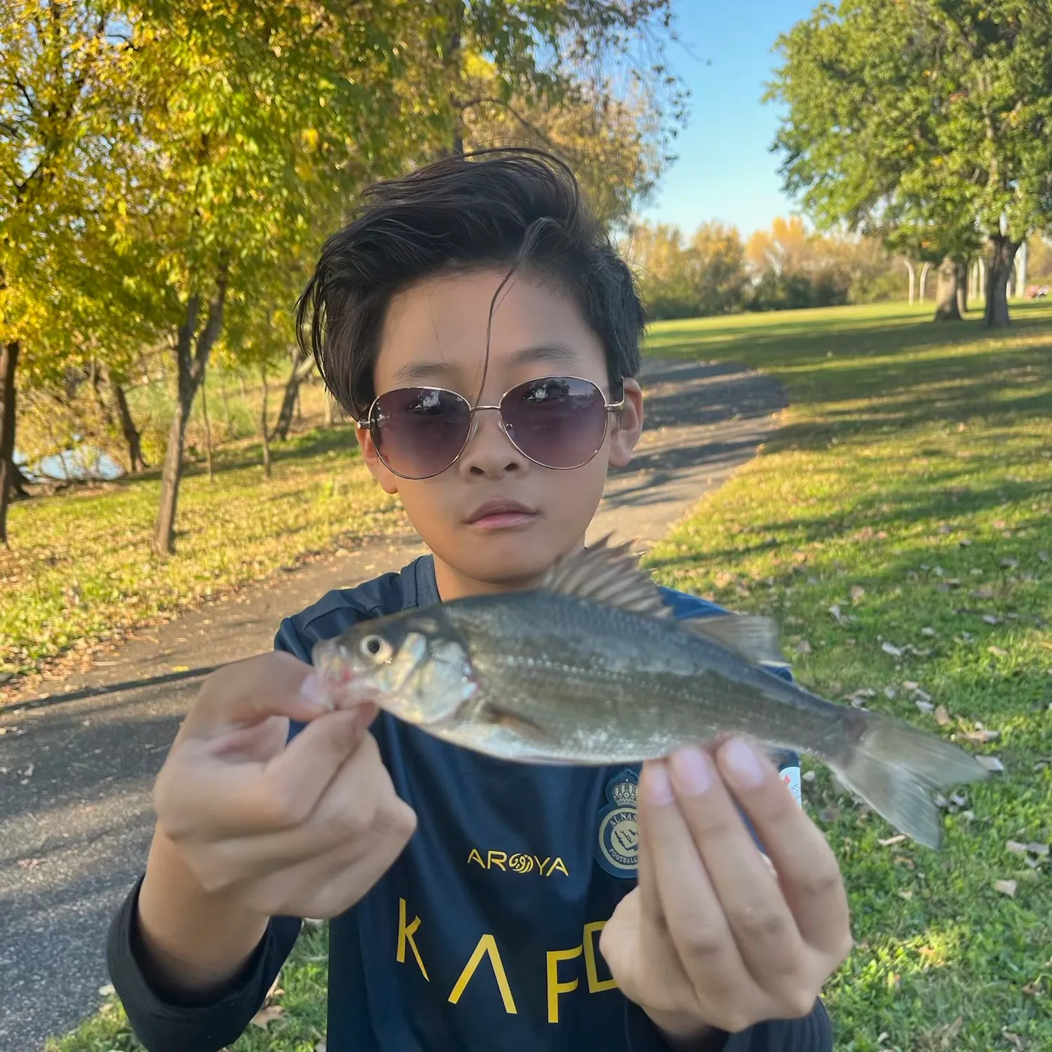 White perch caught on Fishbrain