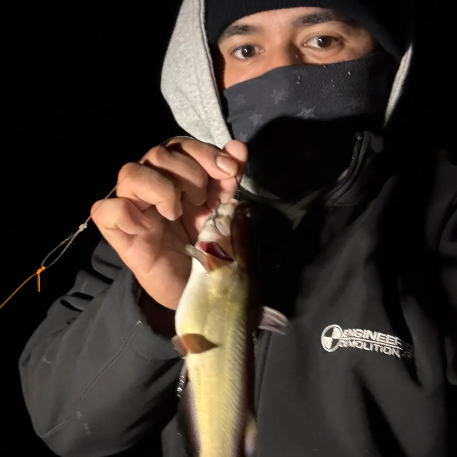 Yellow bullhead caught on Fishbrain