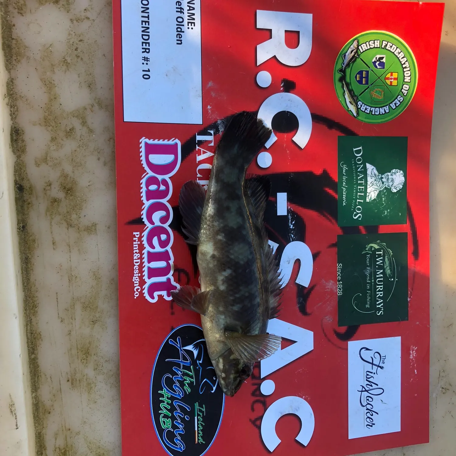 recently logged catches