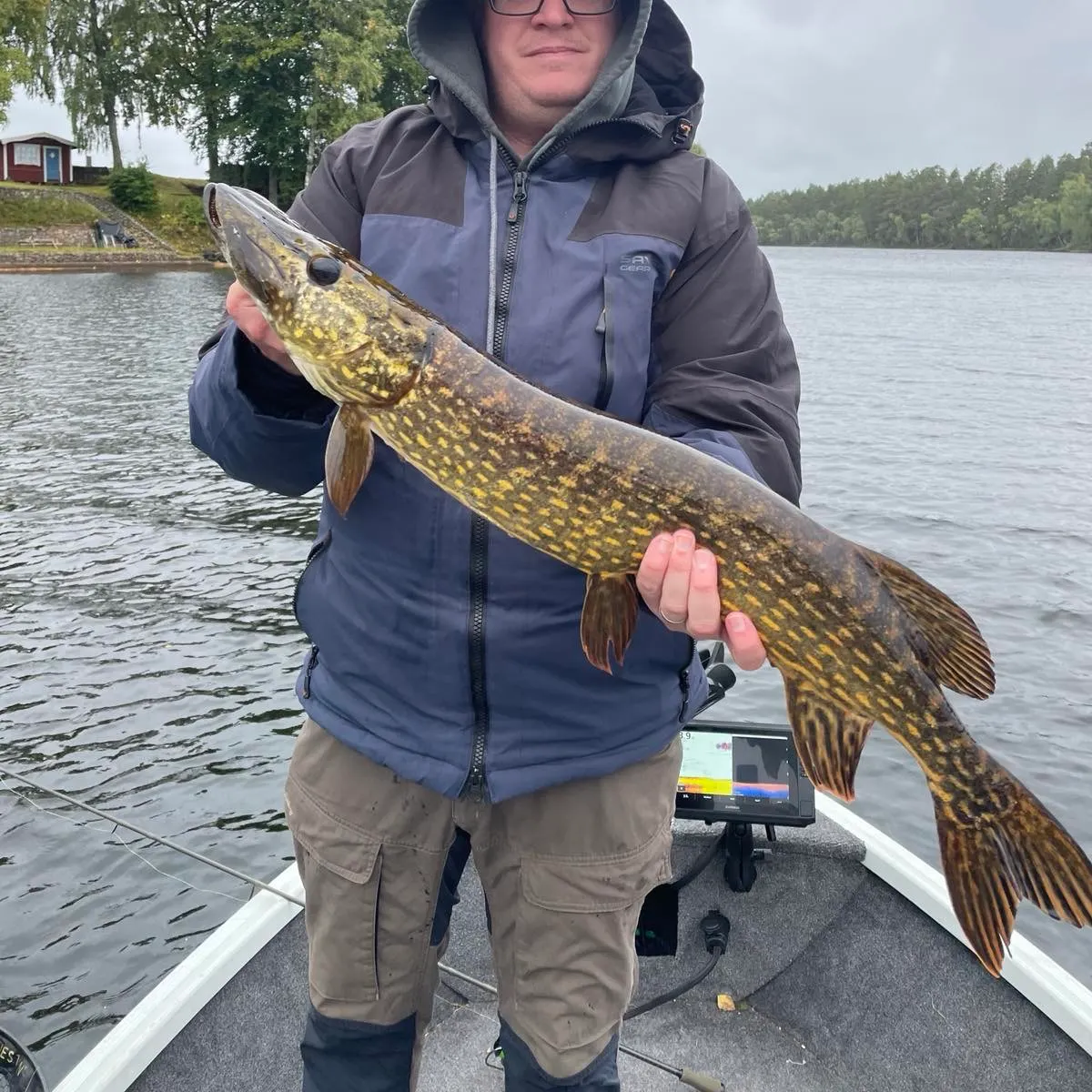 Northern pike caught on Fishbrain