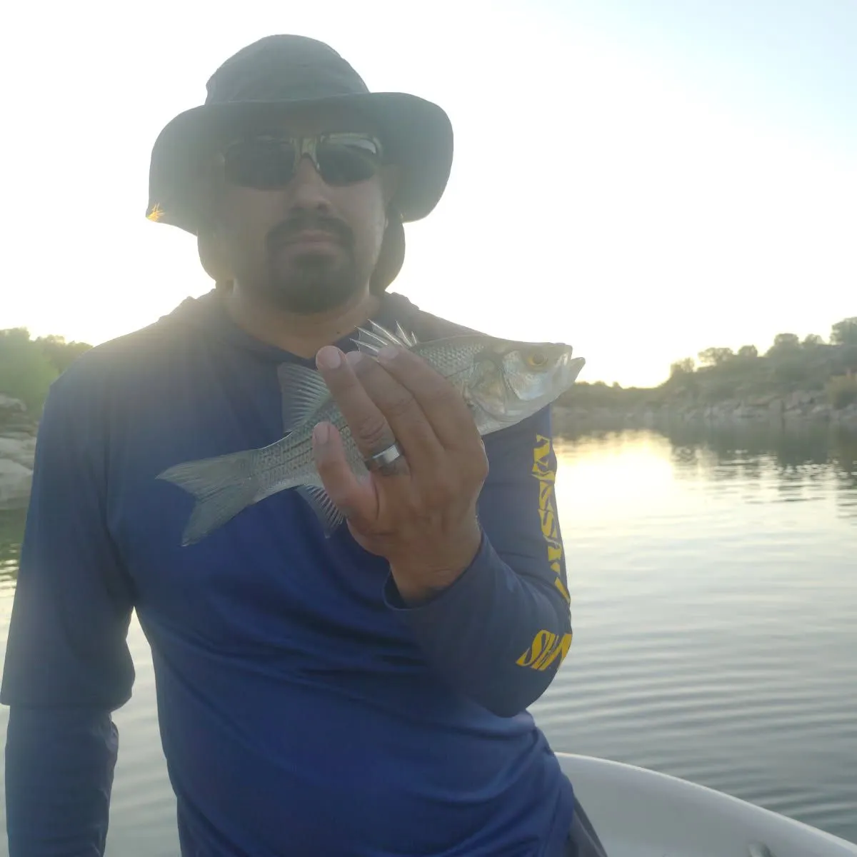 White bass caught on Fishbrain