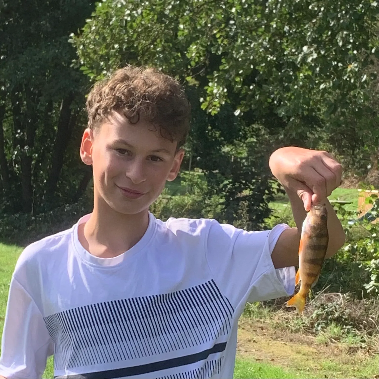 European perch caught on Fishbrain